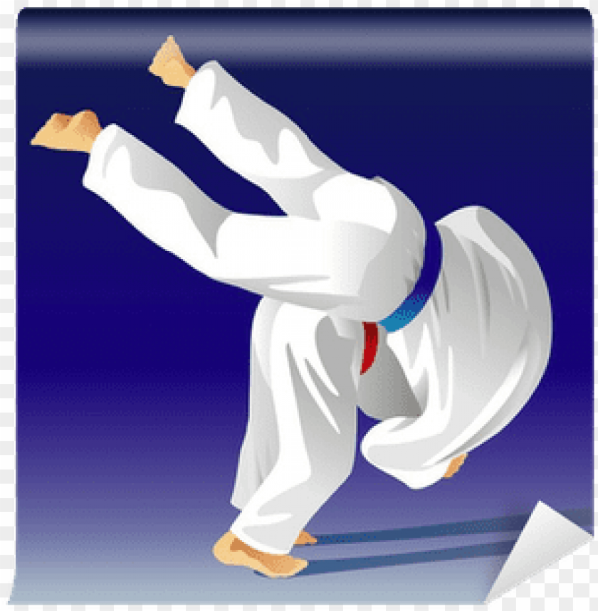 Judo Background