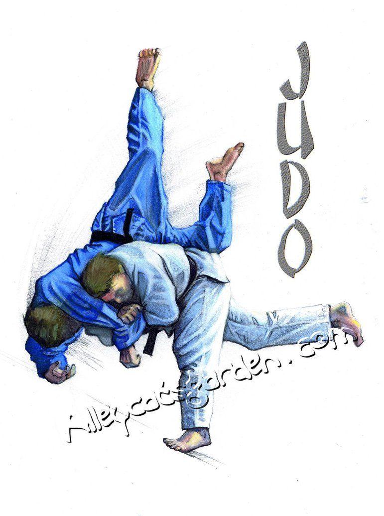 Judo Background