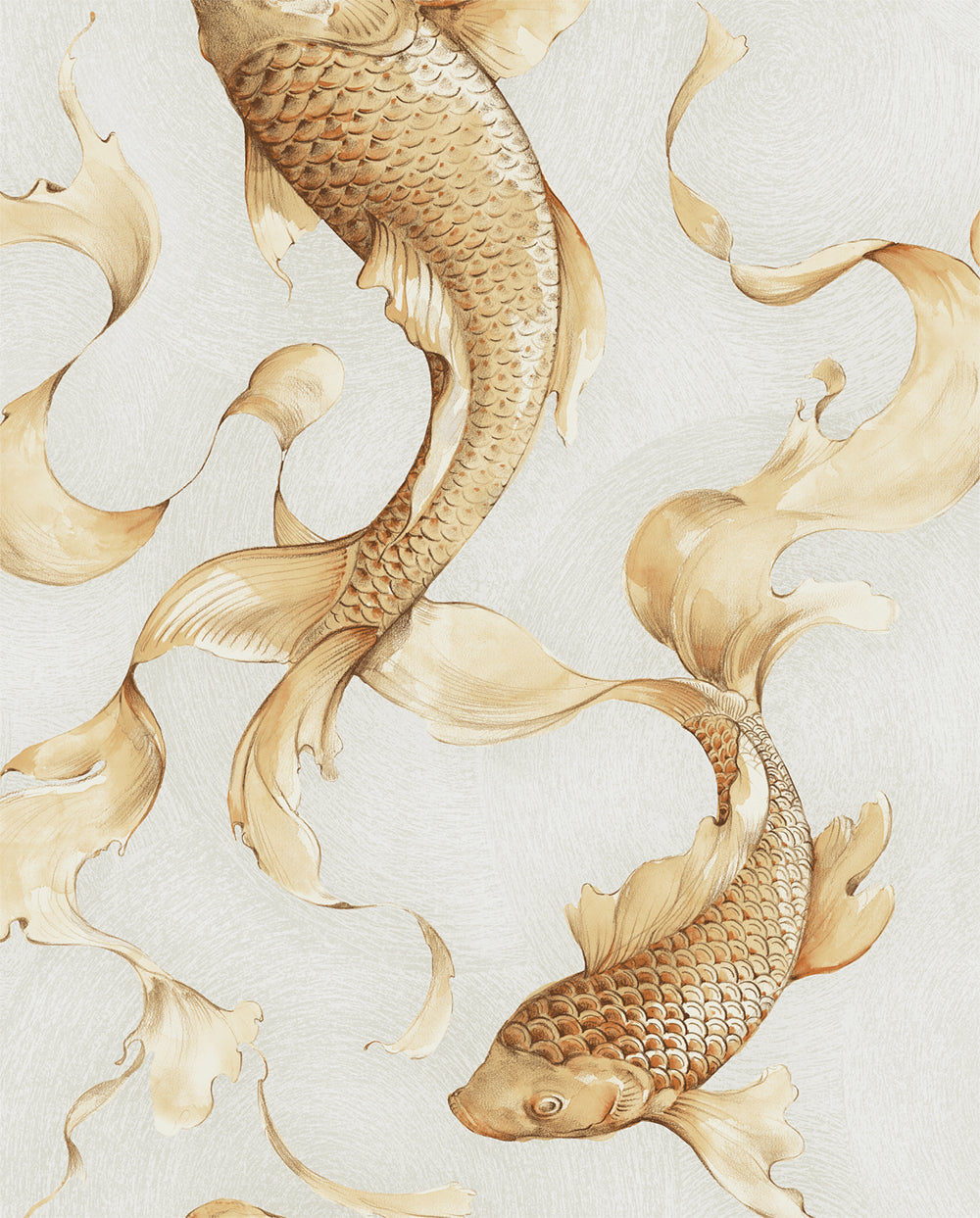 Koi Fish Desktop Background