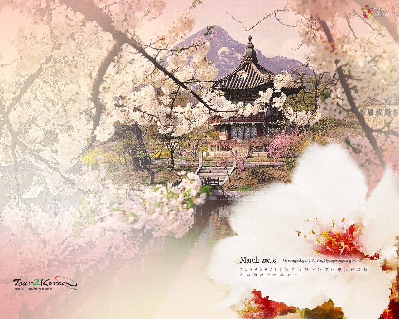 Korean Backgrounds