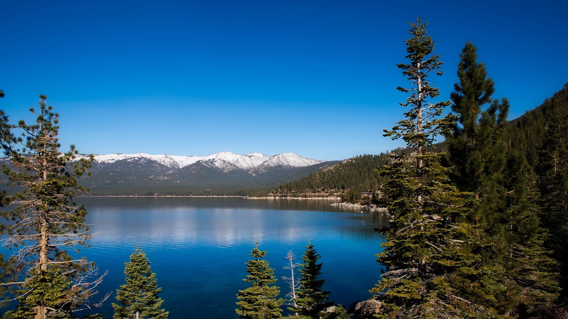 Lake Tahoe Background