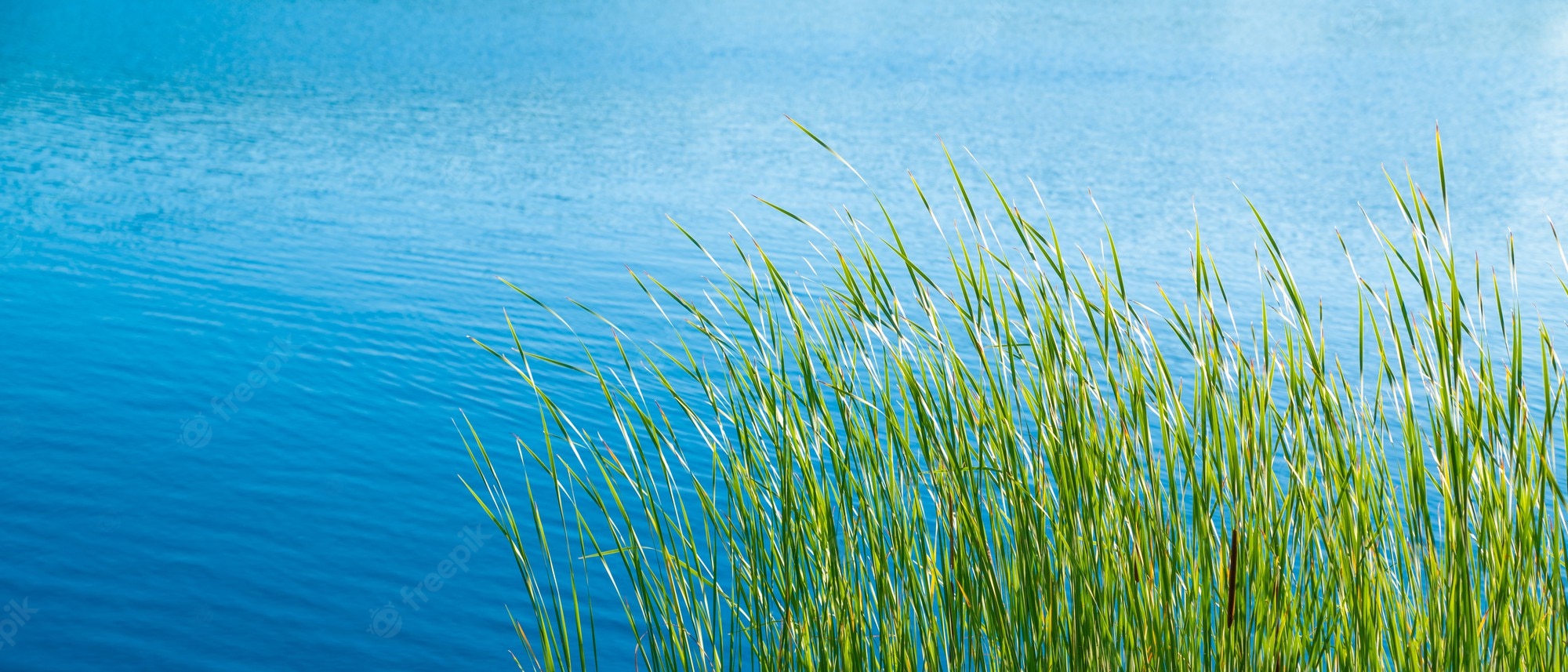 Lake Water Background