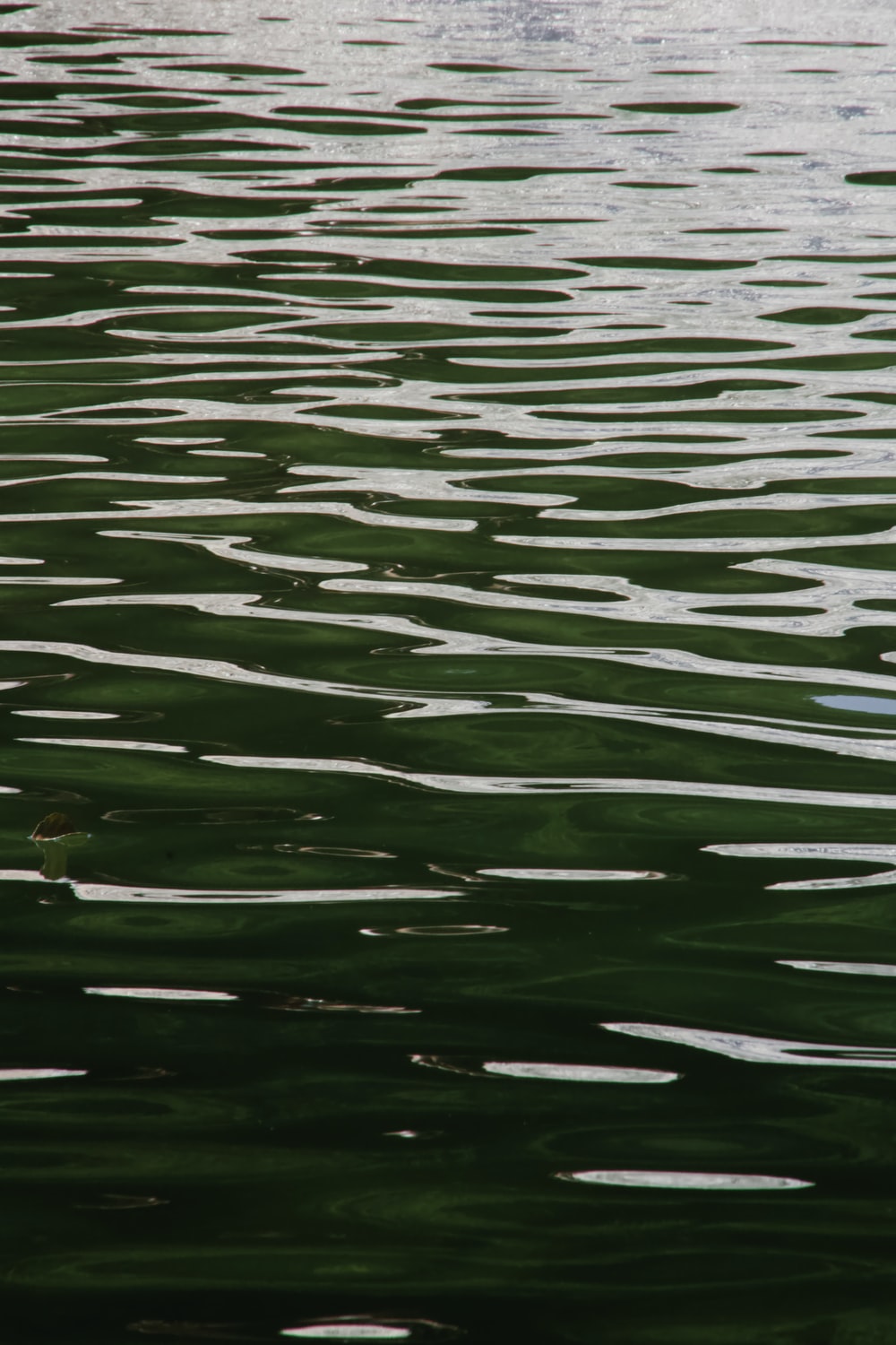 Lake Water Background