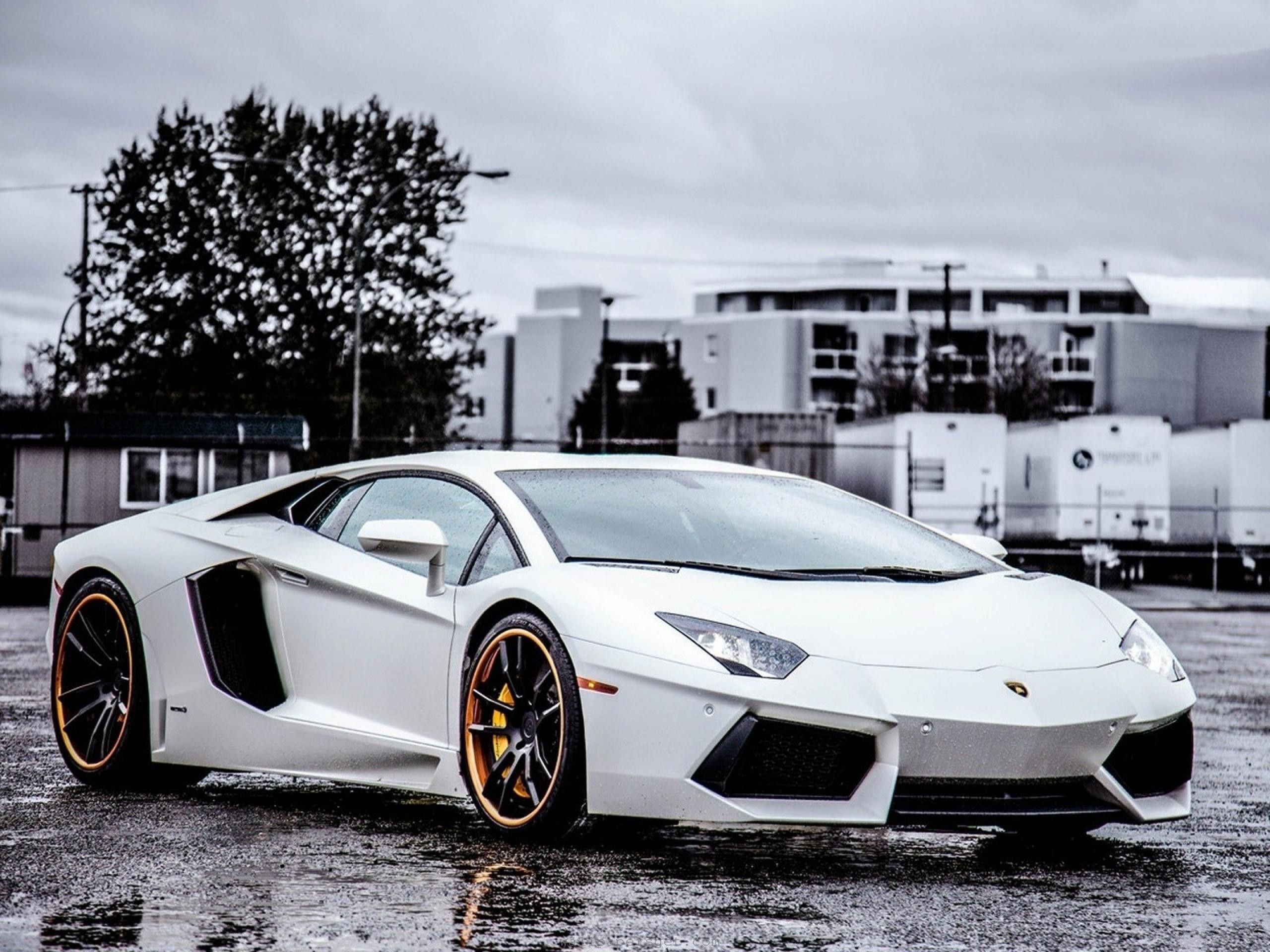 Lamborghini White Background