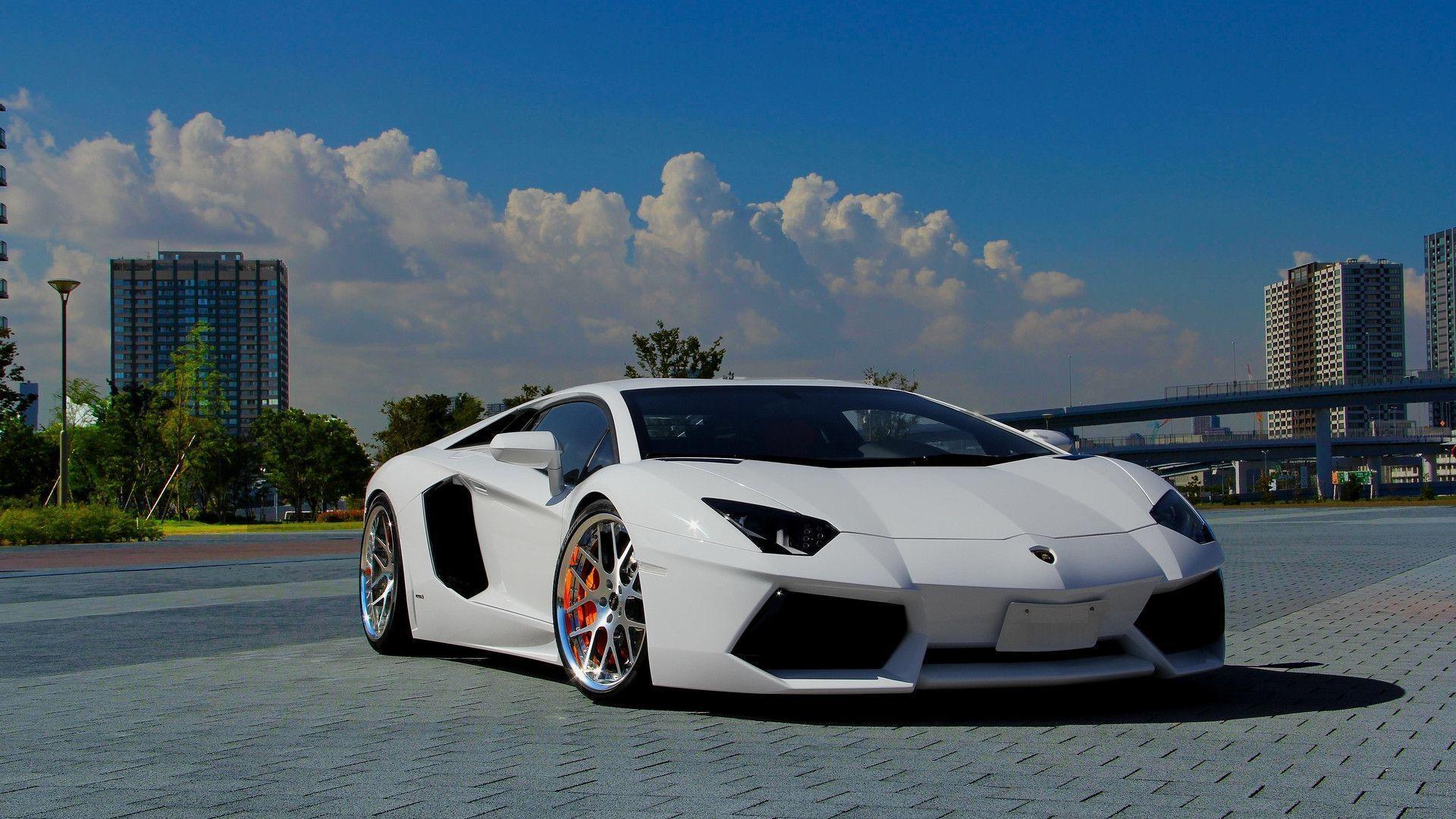 Lamborghini White Background