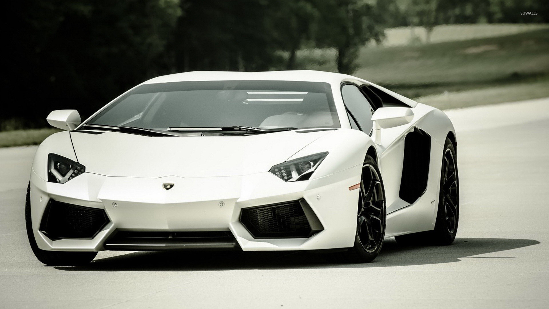 Lamborghini White Background