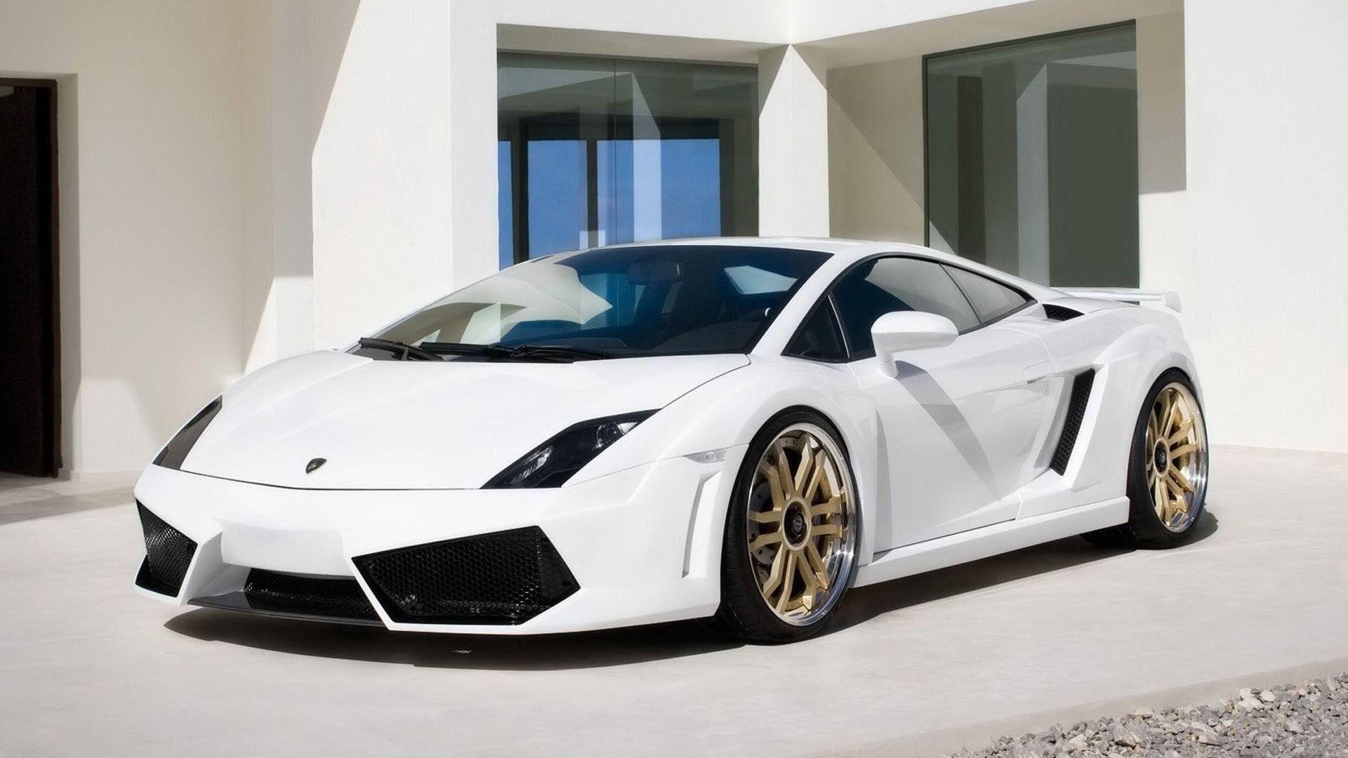 Lamborghini White Background