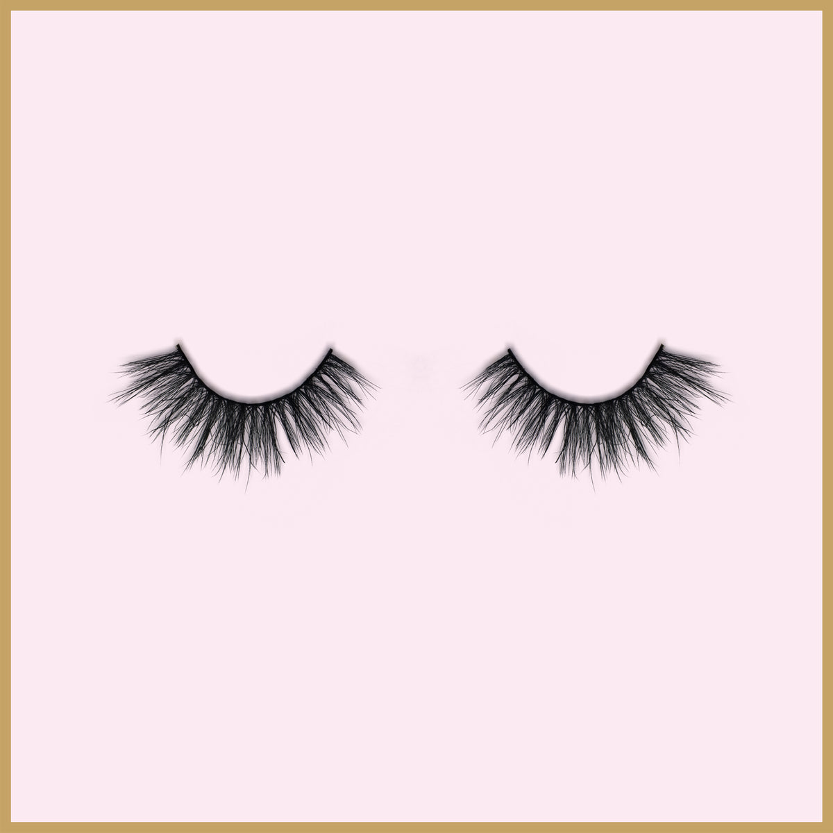 Lash Background