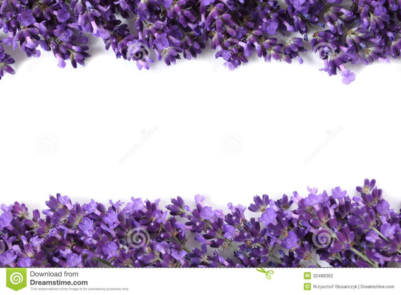 Lavender Flower Backgrounds