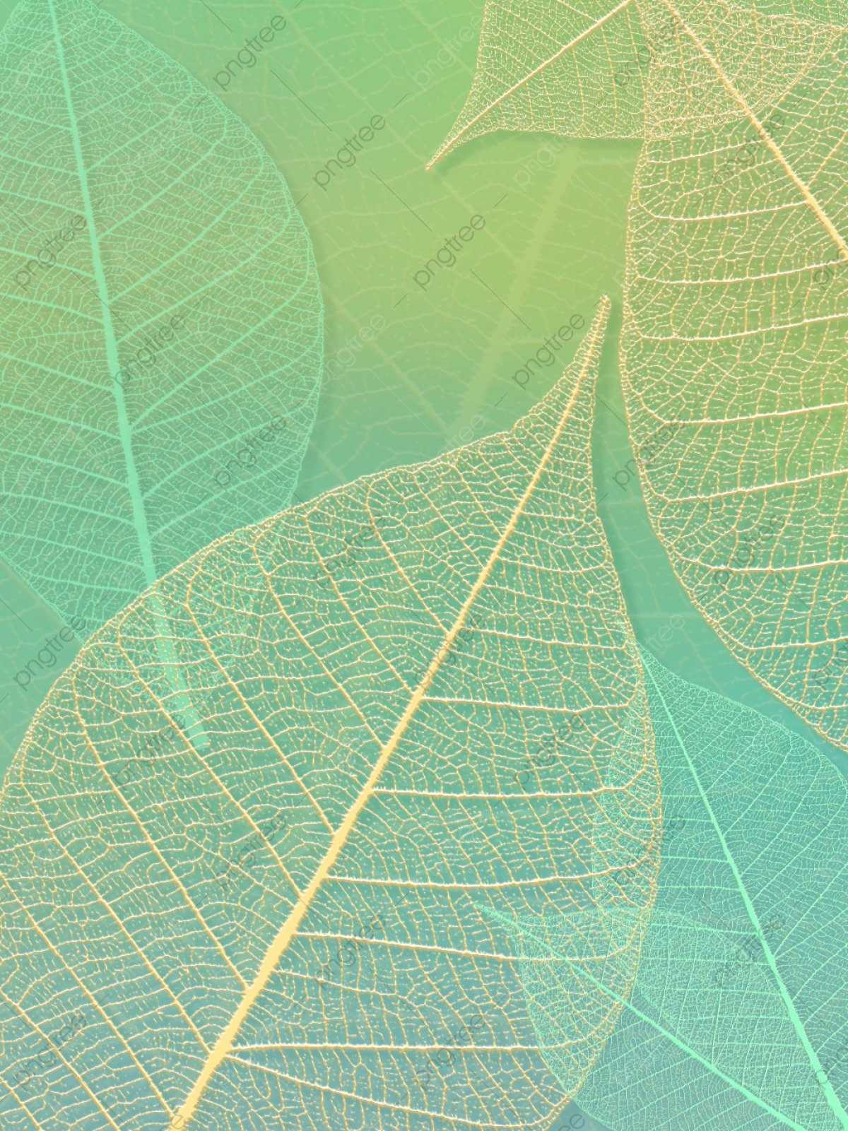 Leaf Texture Background