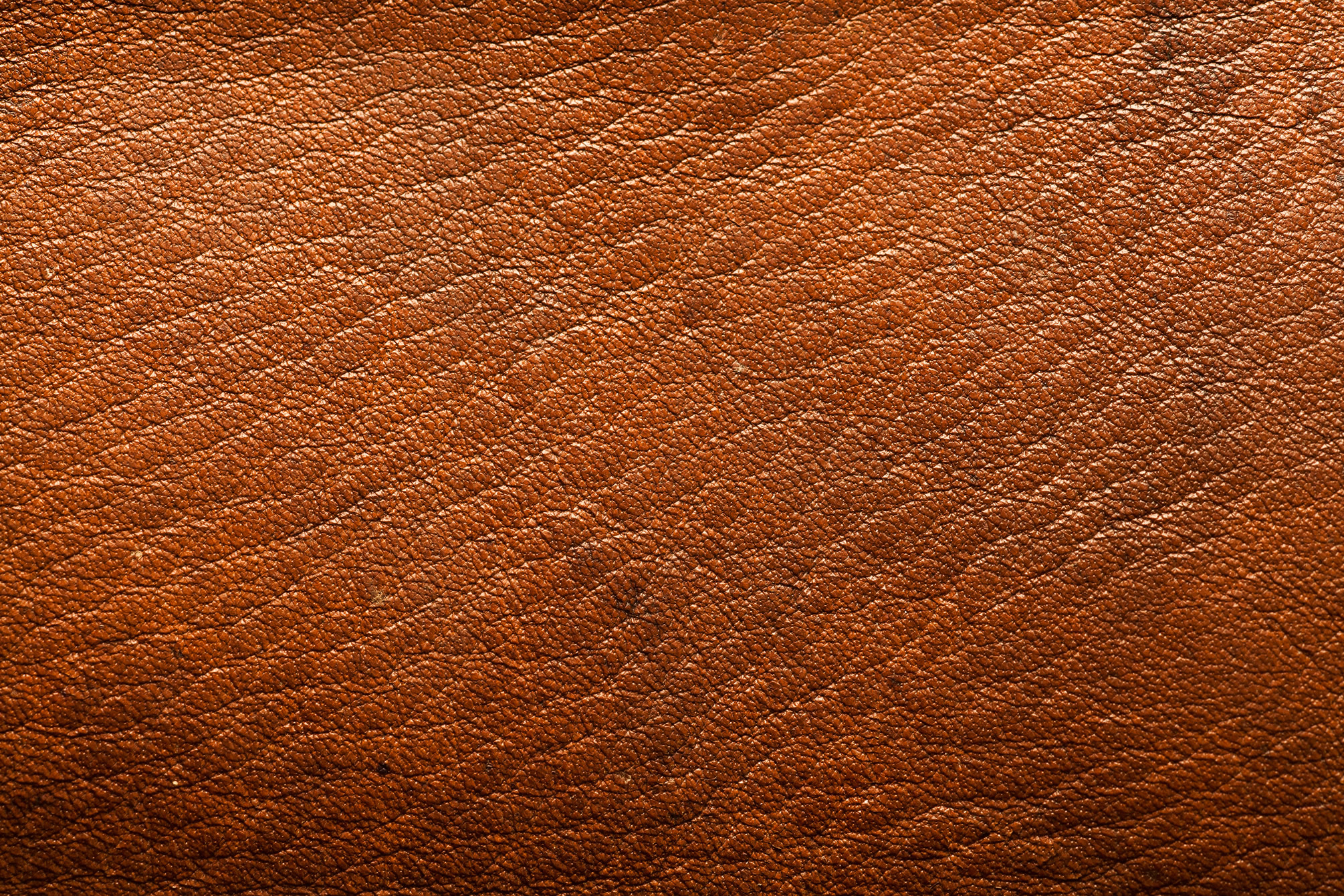 Leather Background