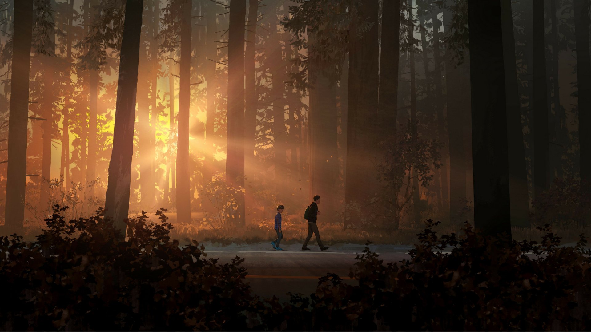 Life Is Strange Backgrounds