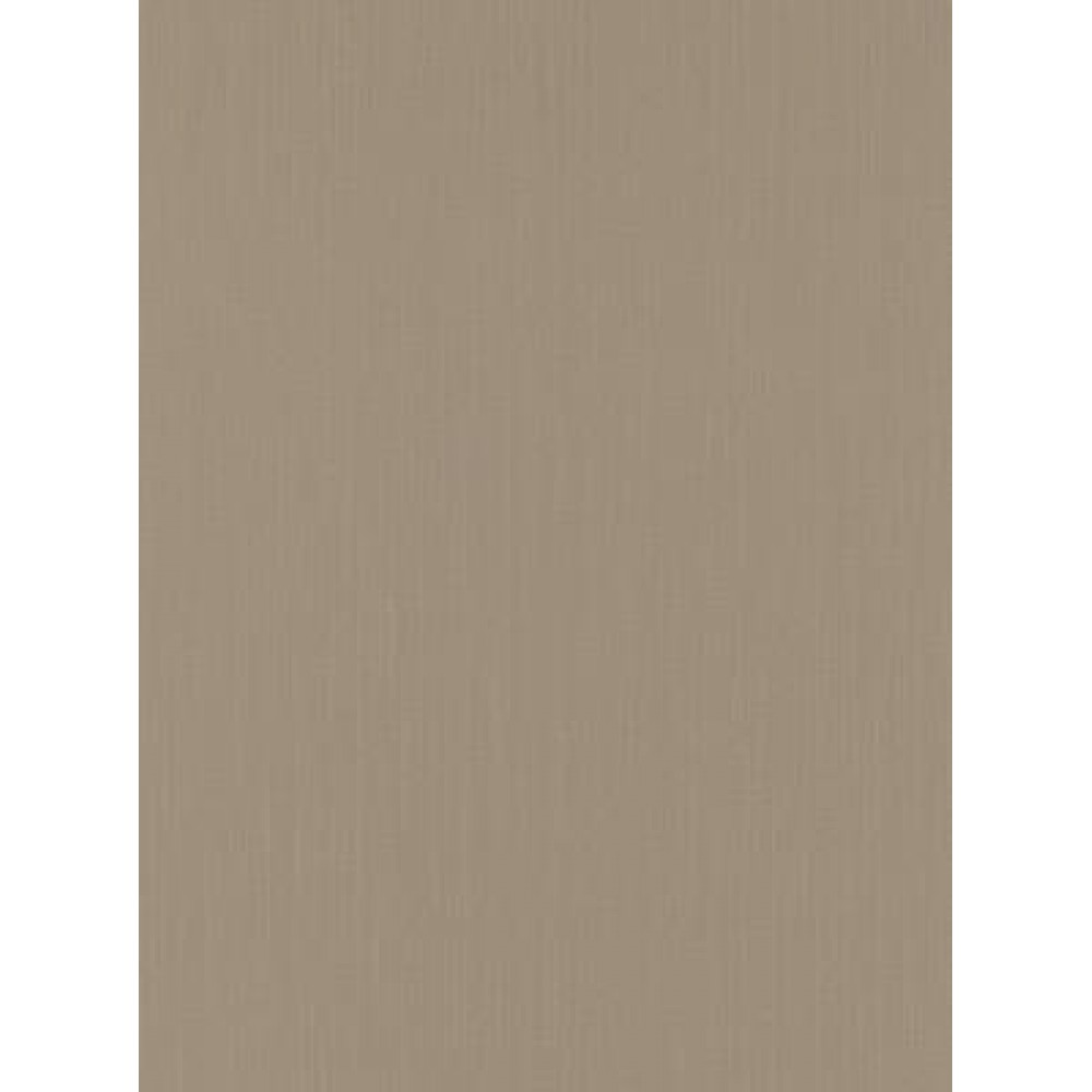 Light Brown Plain Background