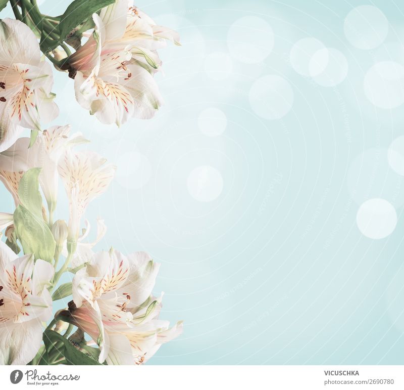 Light Floral Background