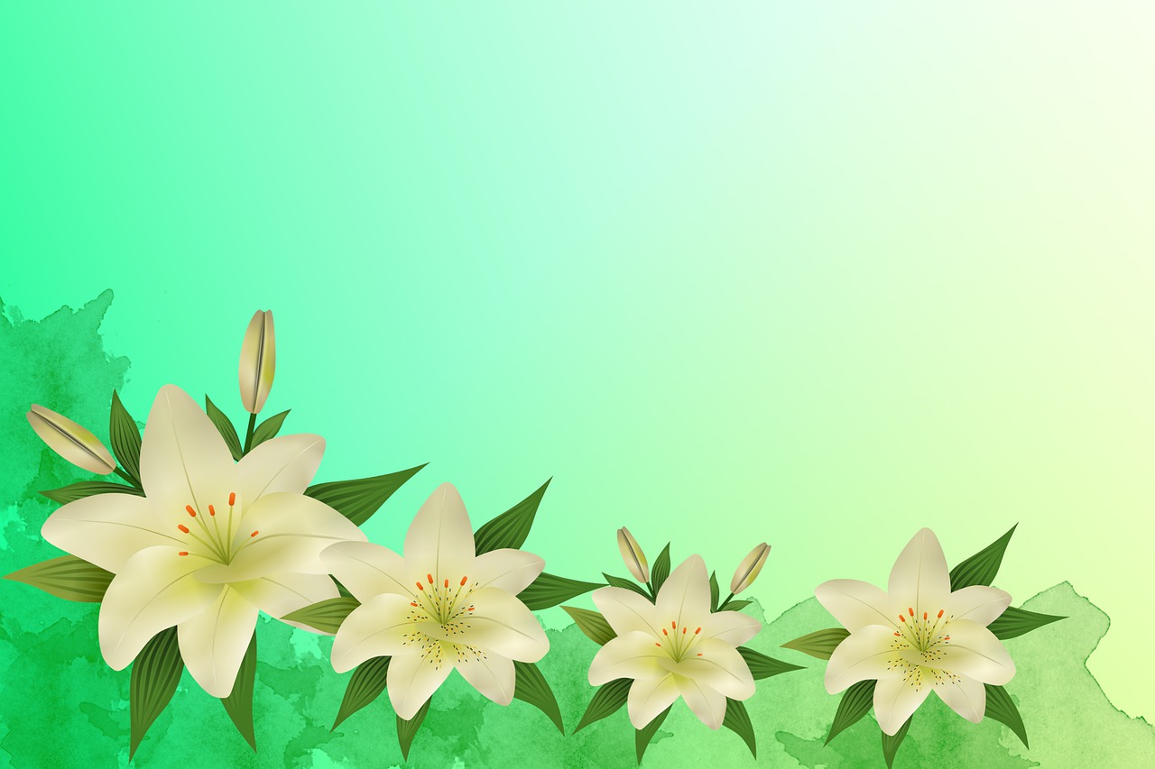 Lilies Backgrounds