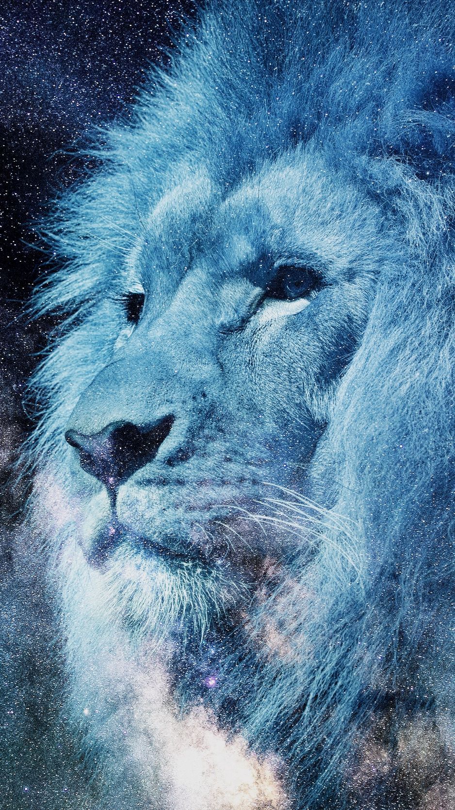 Lion Background Iphone