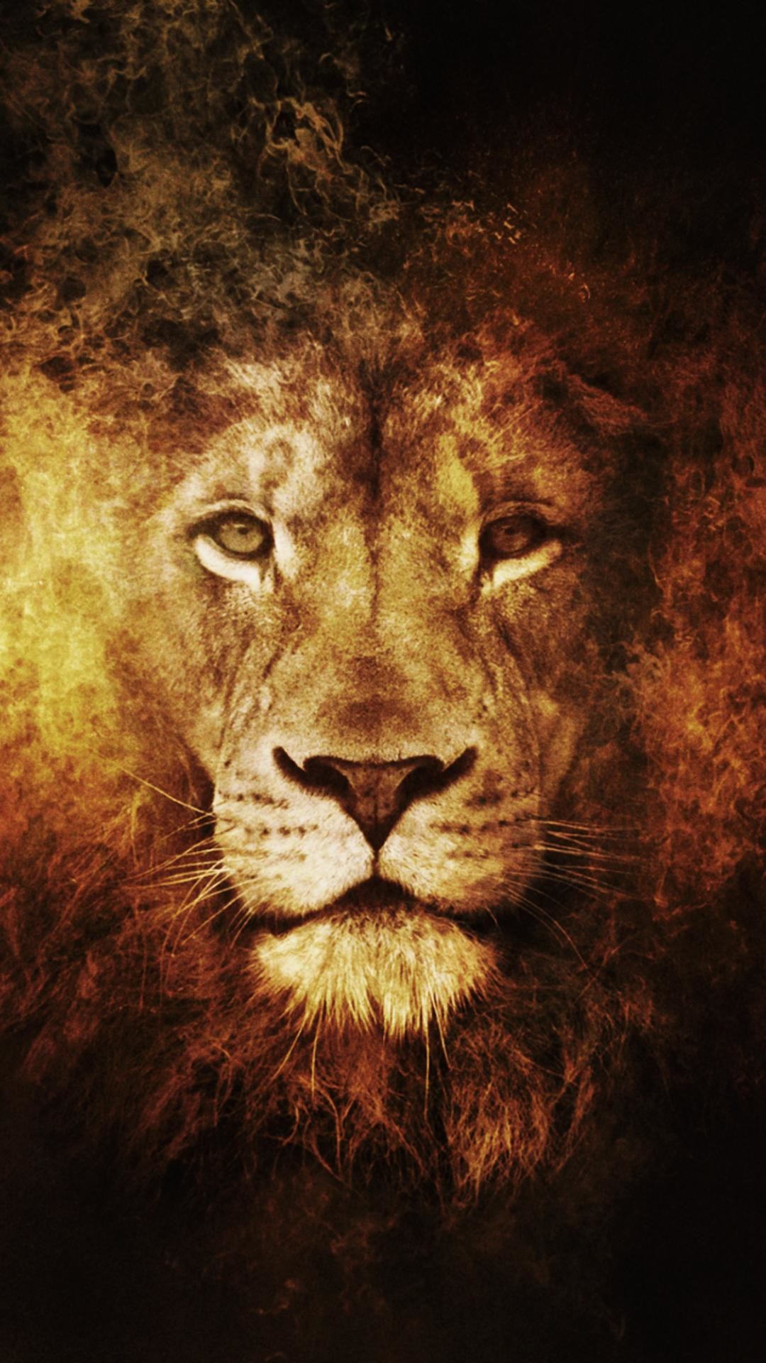 Lion Background Iphone