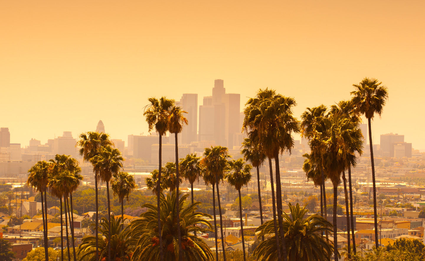 Los Angeles Background