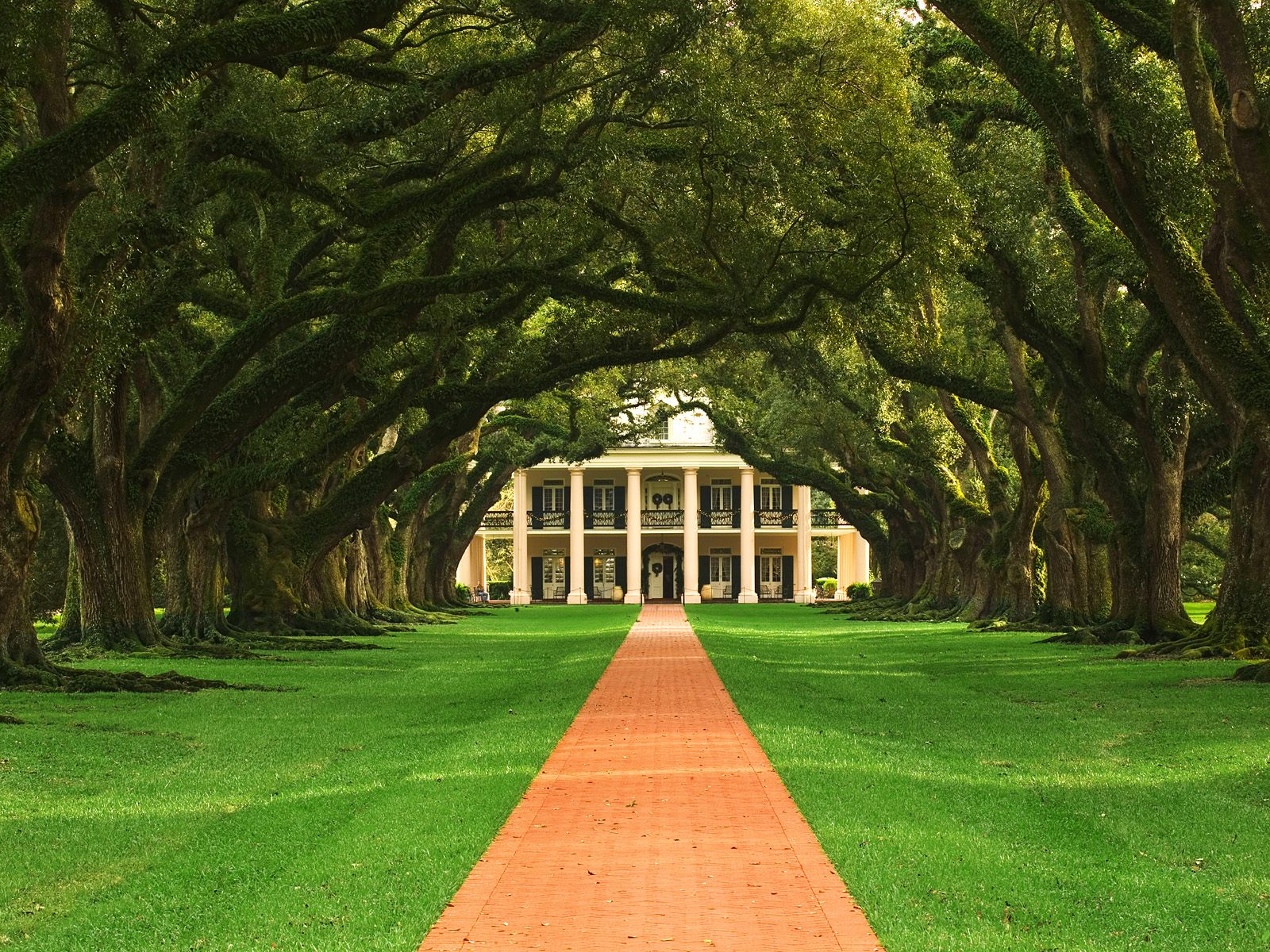 Louisiana Backgrounds