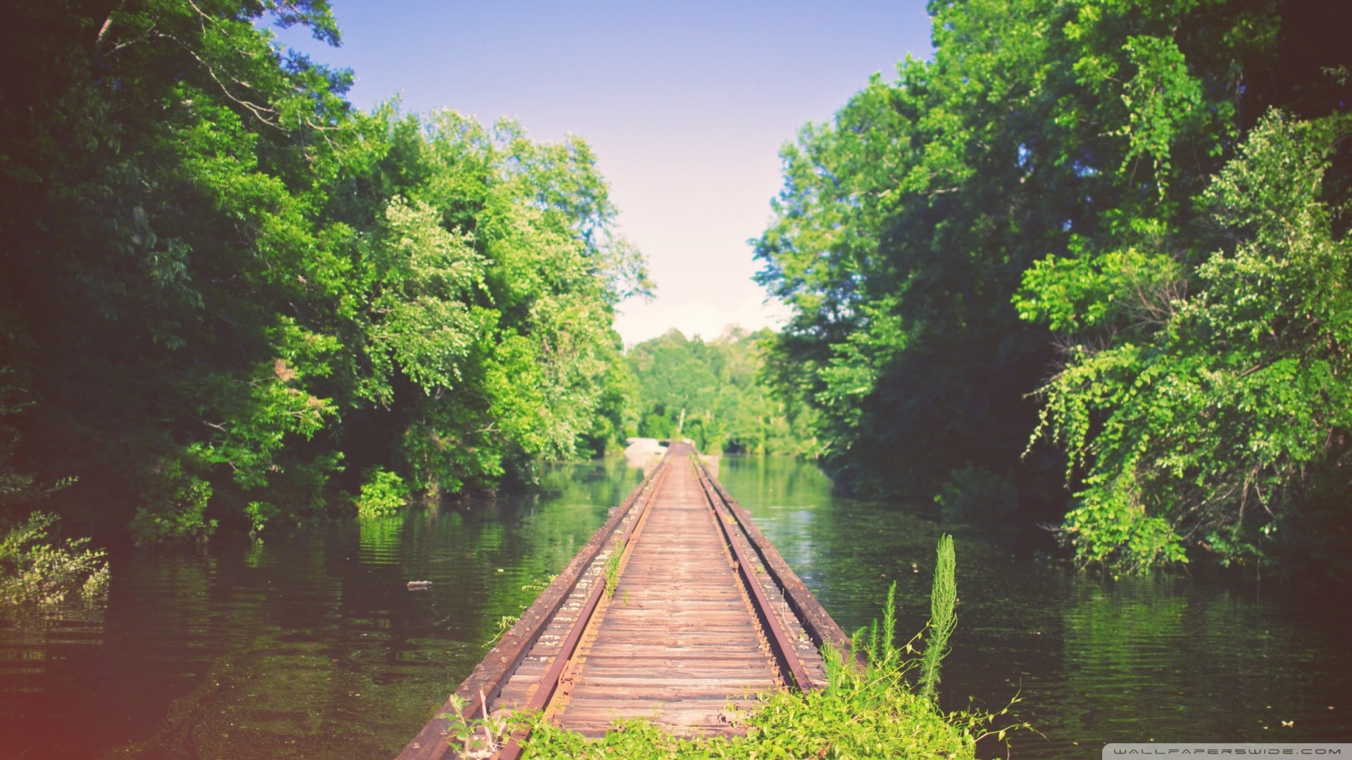 Louisiana Backgrounds