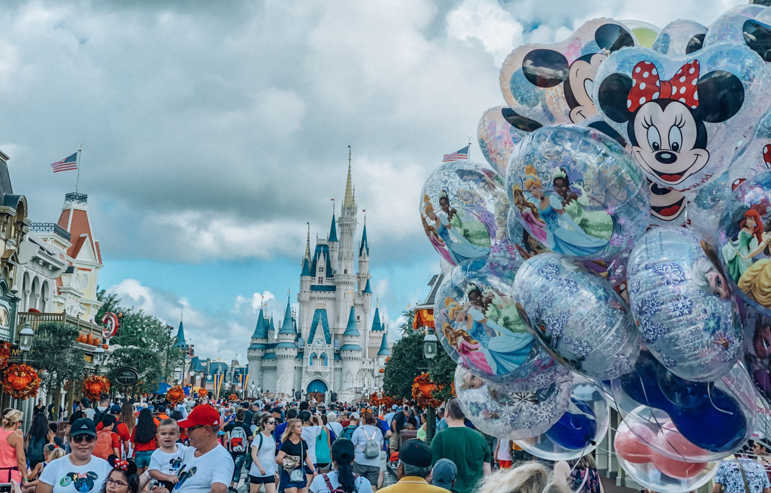 Magic Kingdom Background