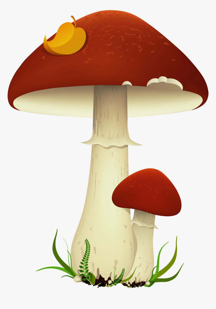 Mario Mushroom Background