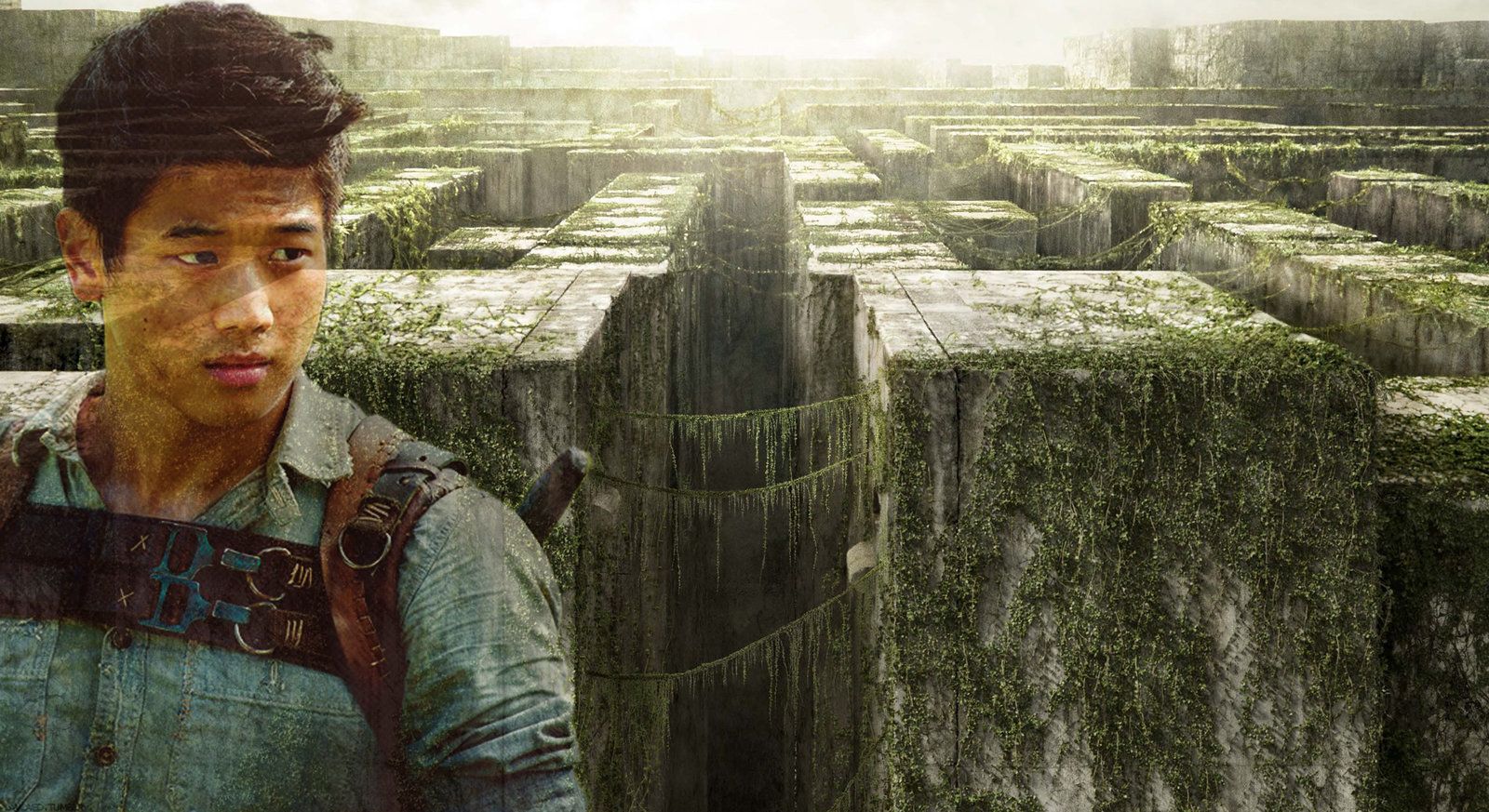 Maze Runner Background