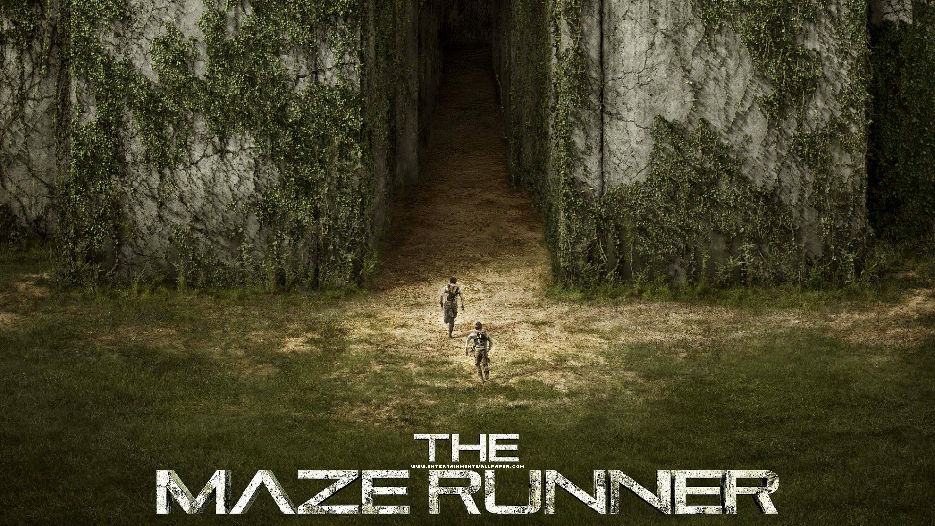 Maze Runner Background