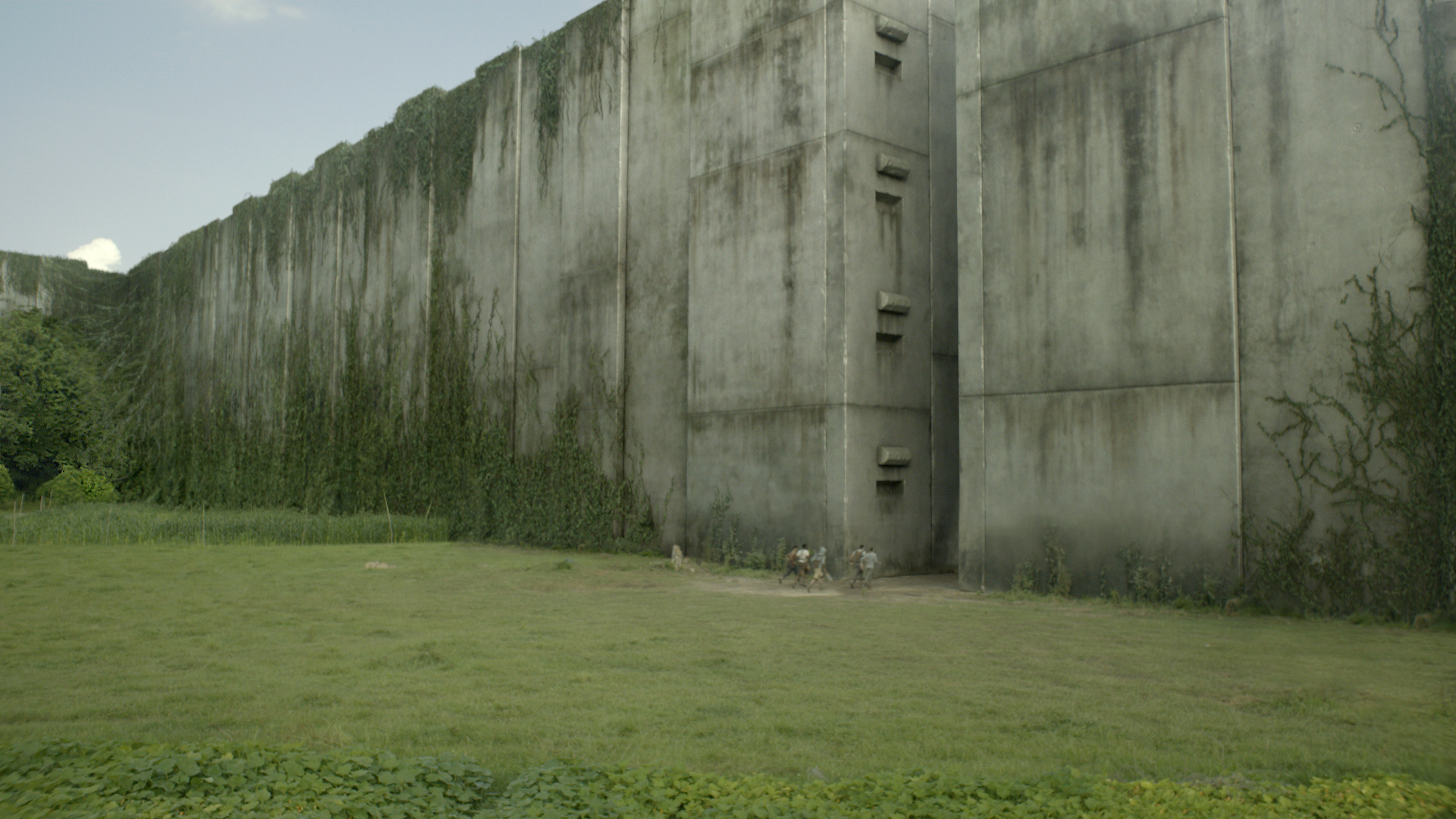 Maze Runner Background