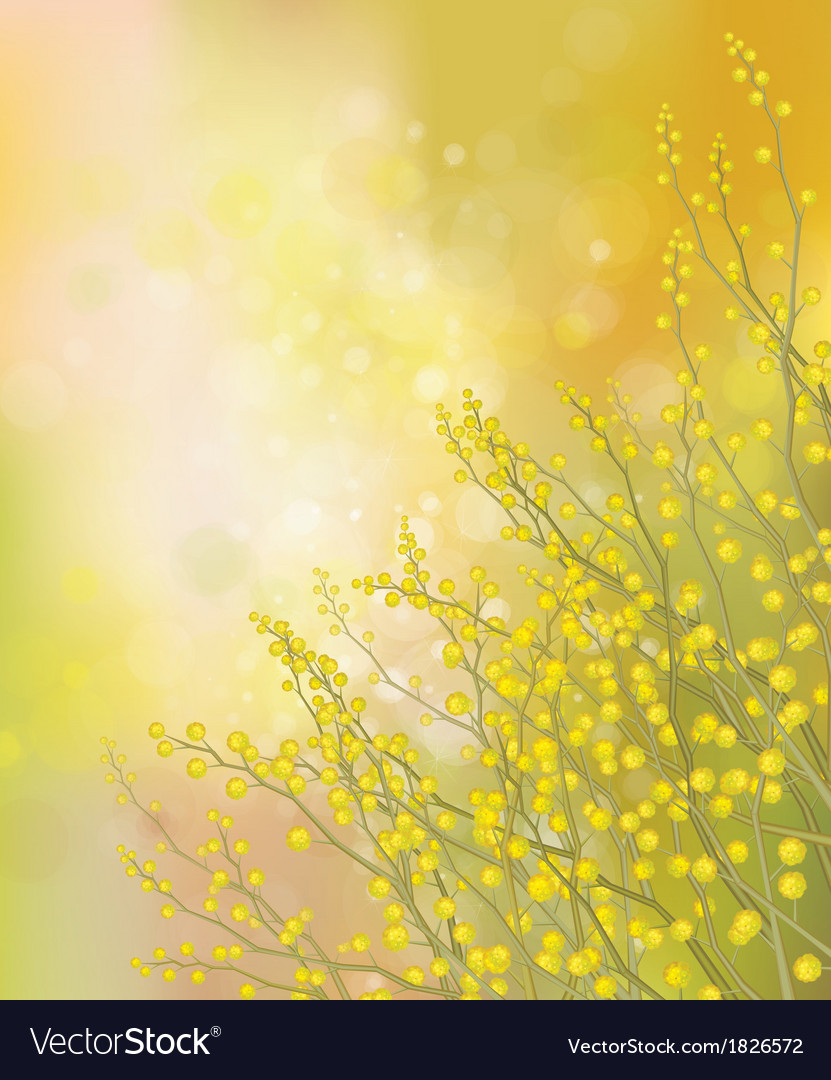 Mimosa Background