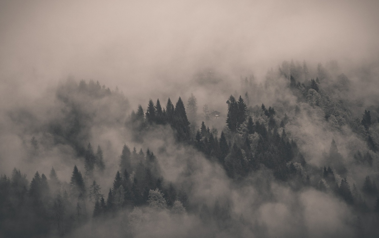 Misty Mountain Background