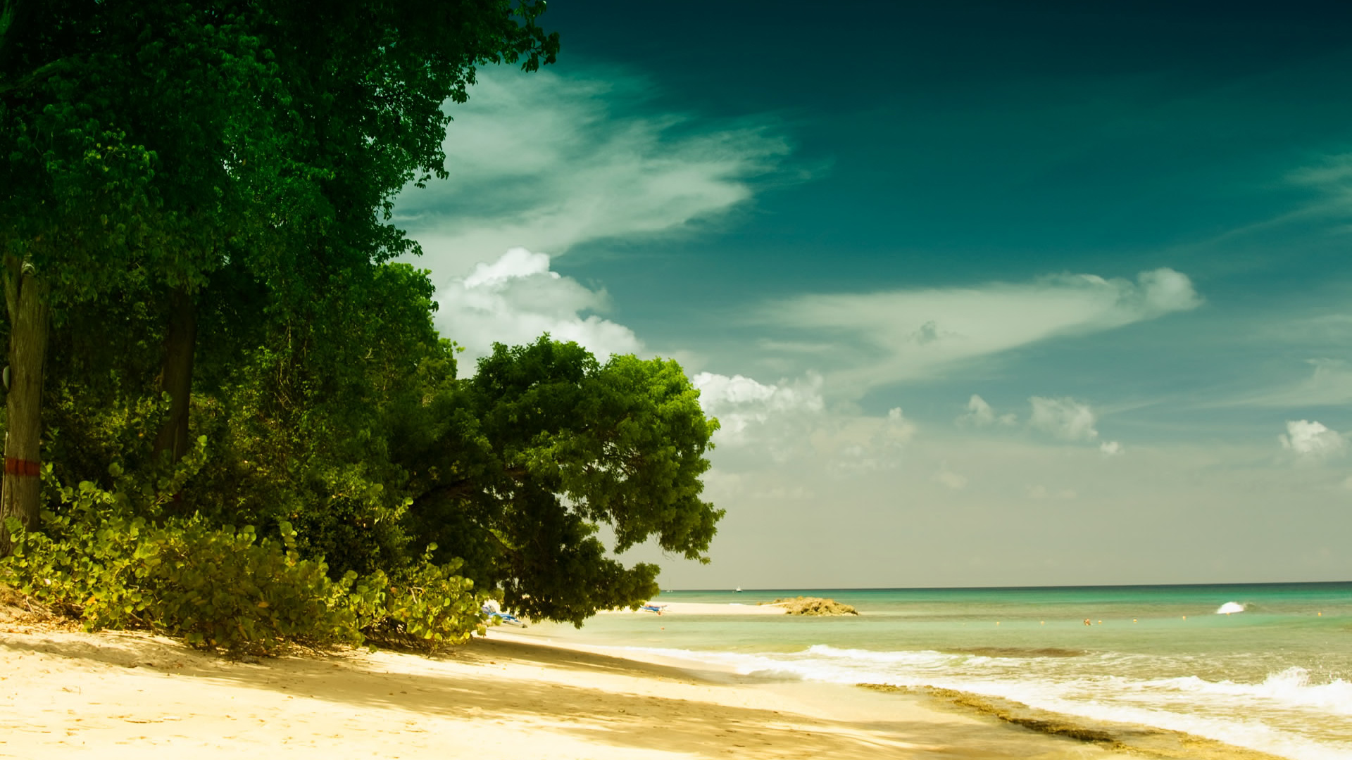 Moana Beach Background