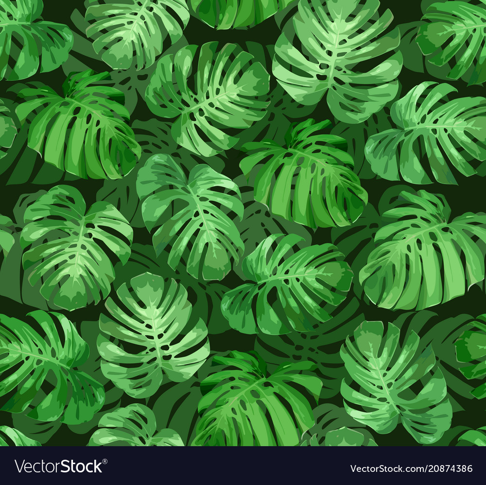 Monstera Leaf Background