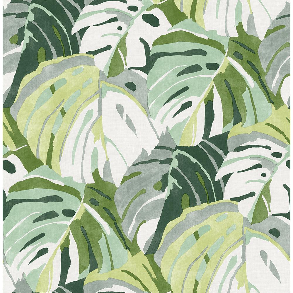 Monstera Leaf Background