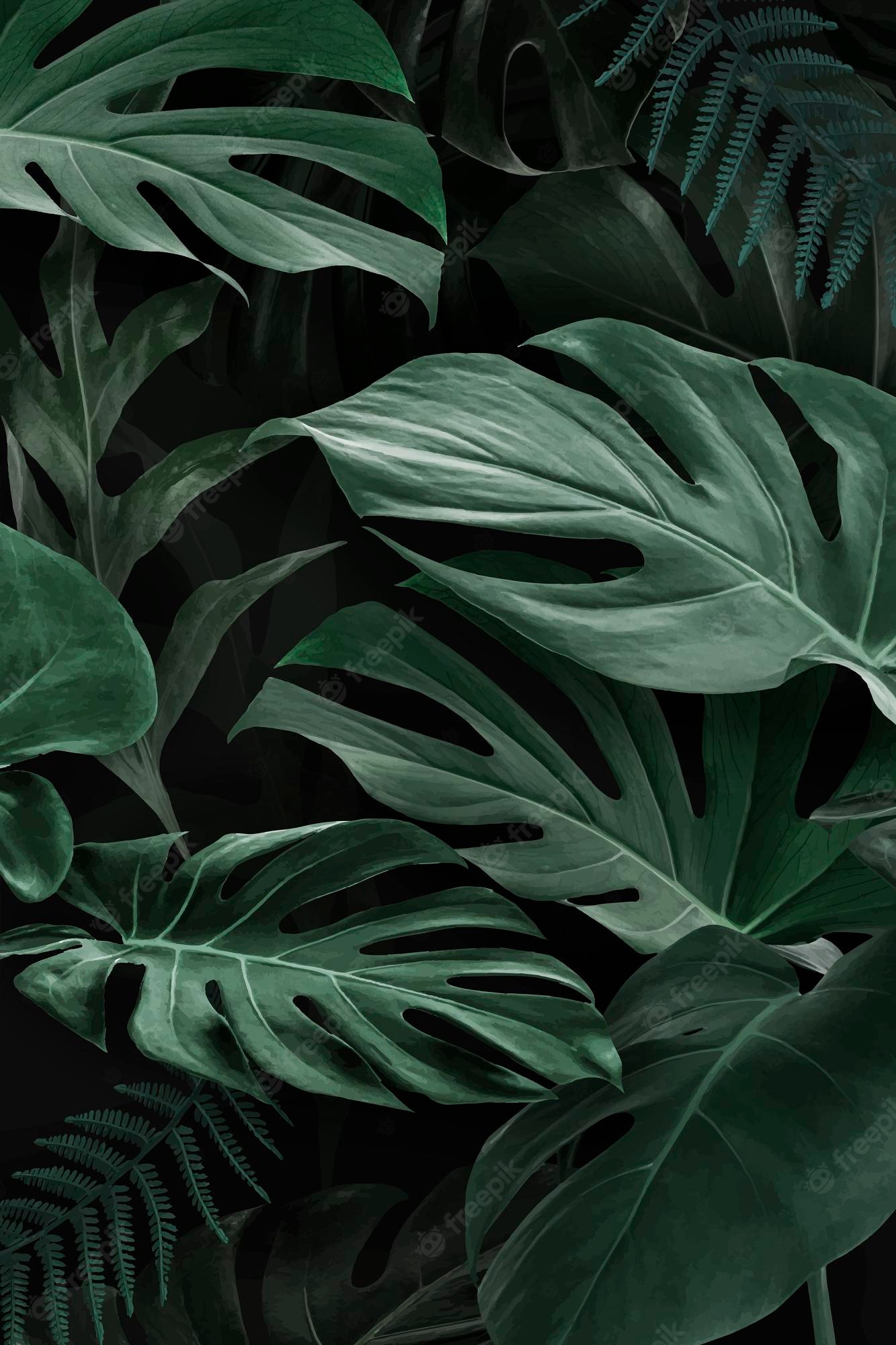 Monstera Leaf Background