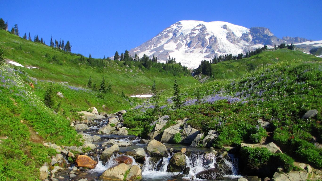 Mount Rainier Zoom Background