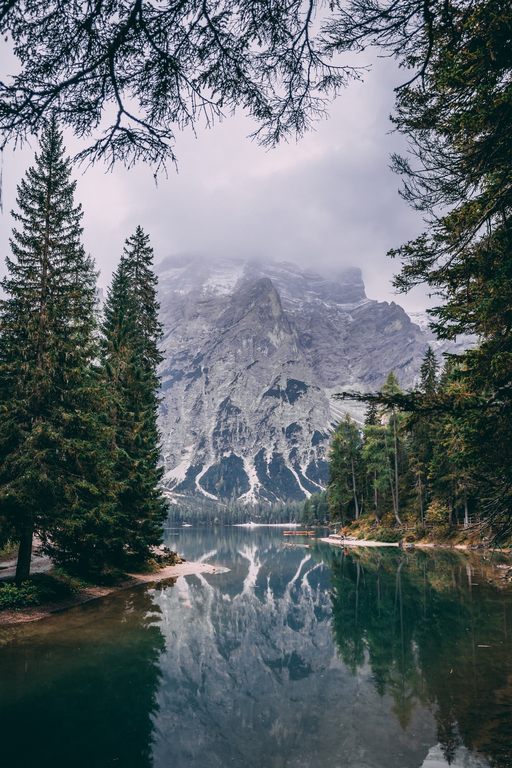 Mountain And Trees Background