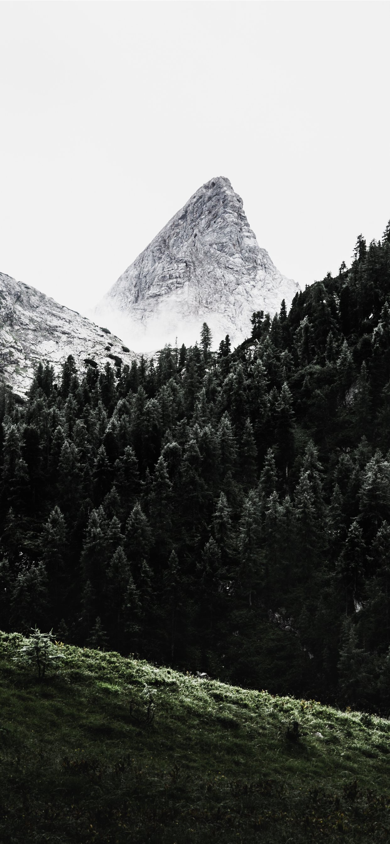 Mountain And Trees Background