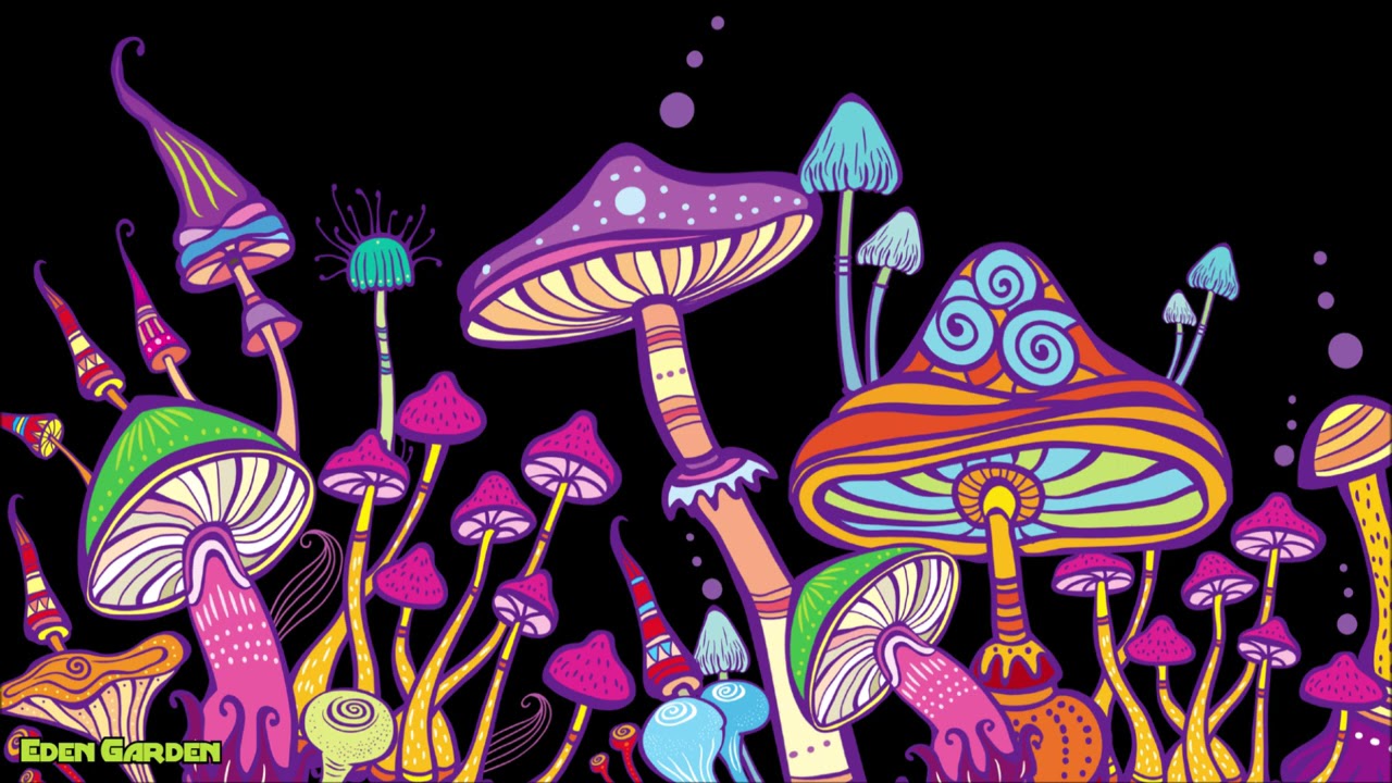 Mushroom Background