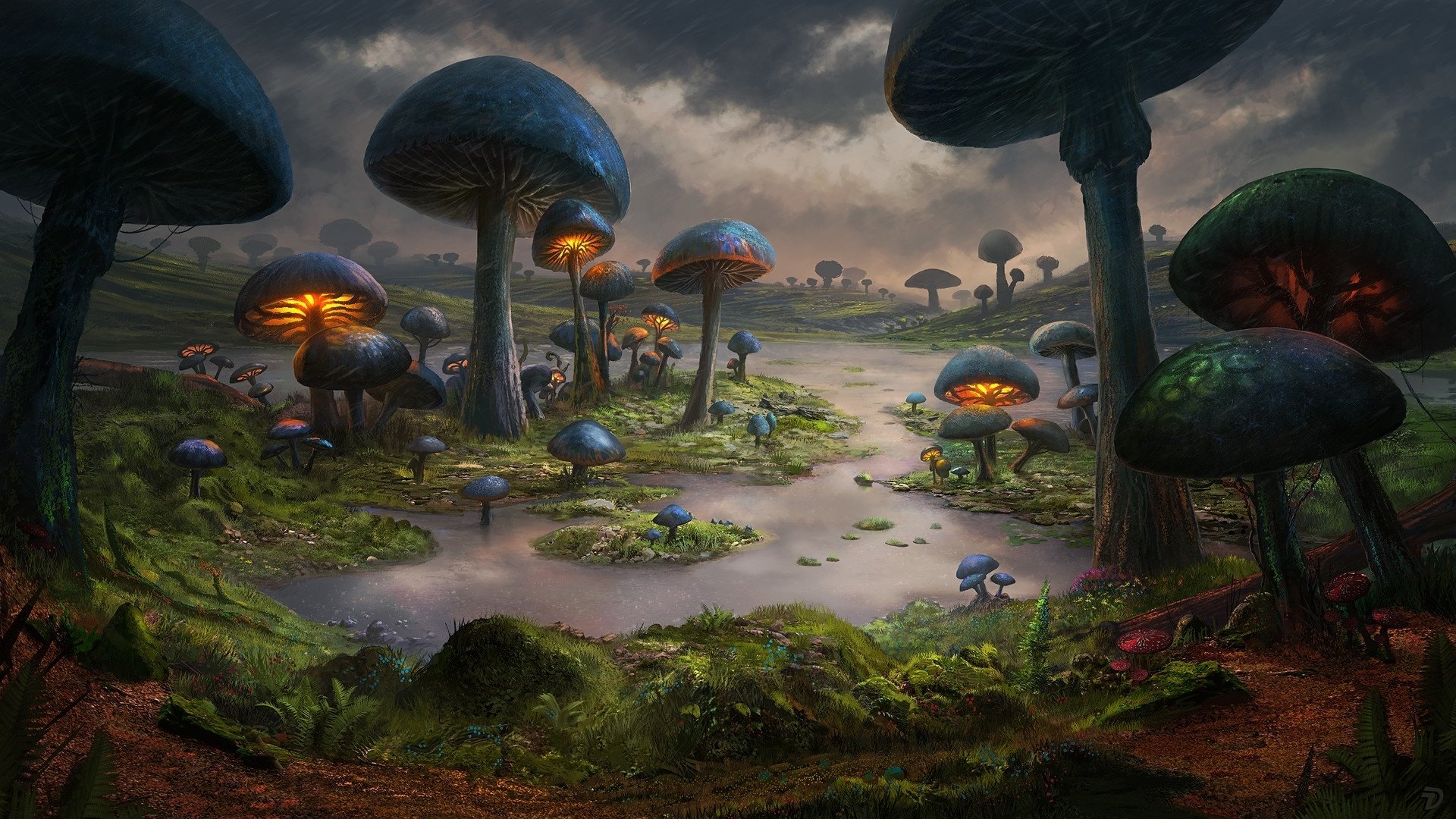 Mushroom Forest Background