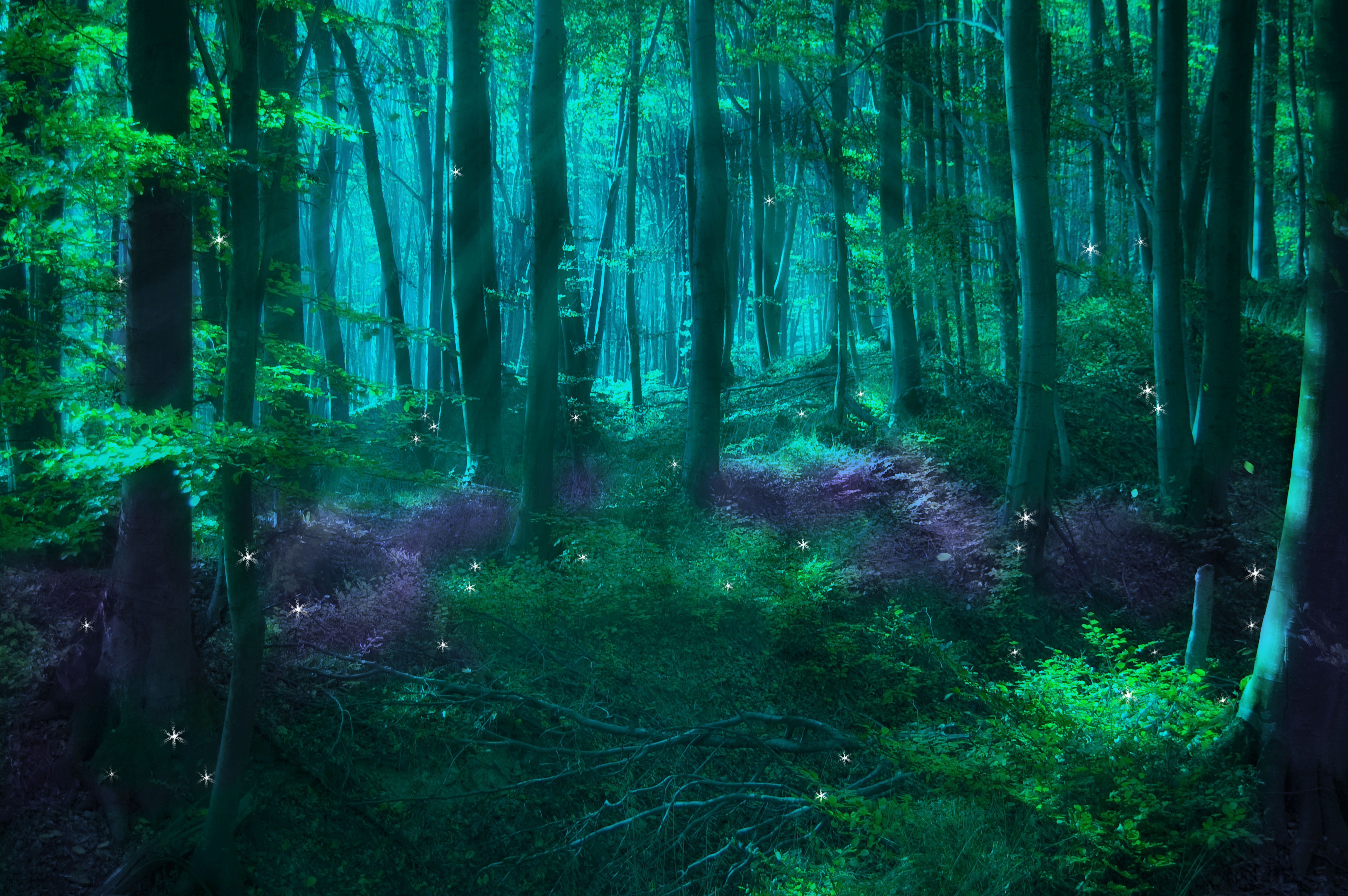 Mystical Forest Background