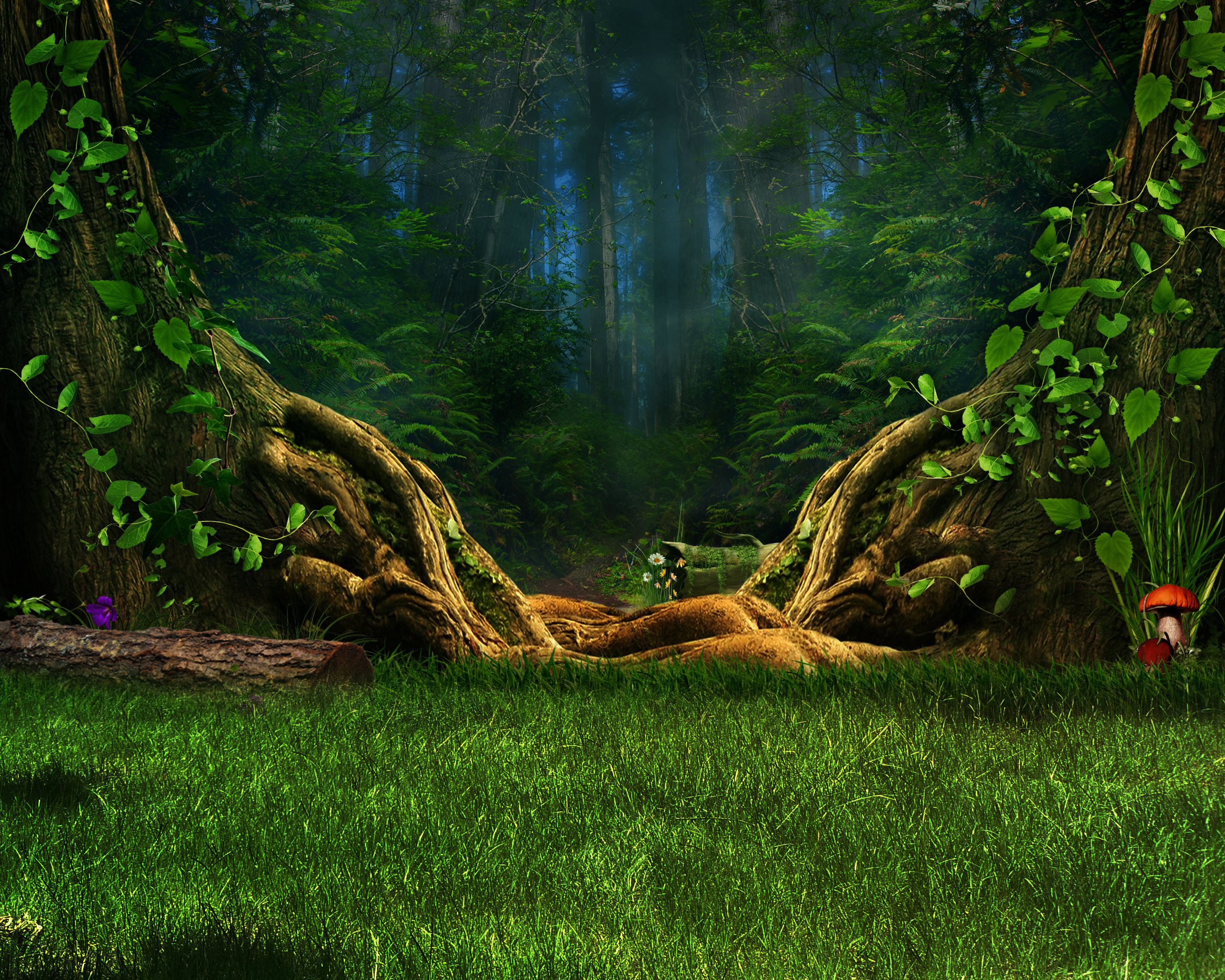 Mystical Forest Background