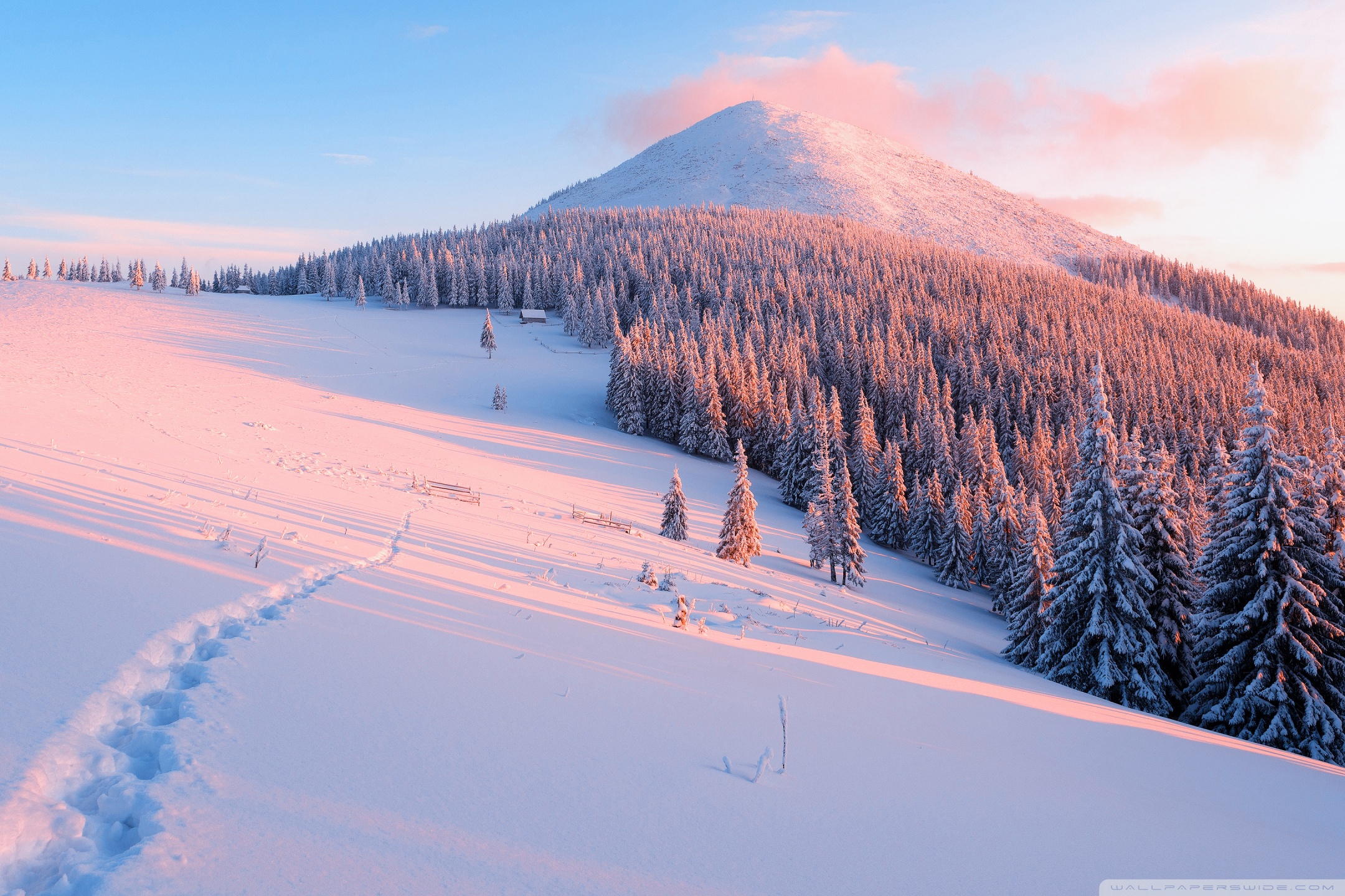 Nature Background Winter