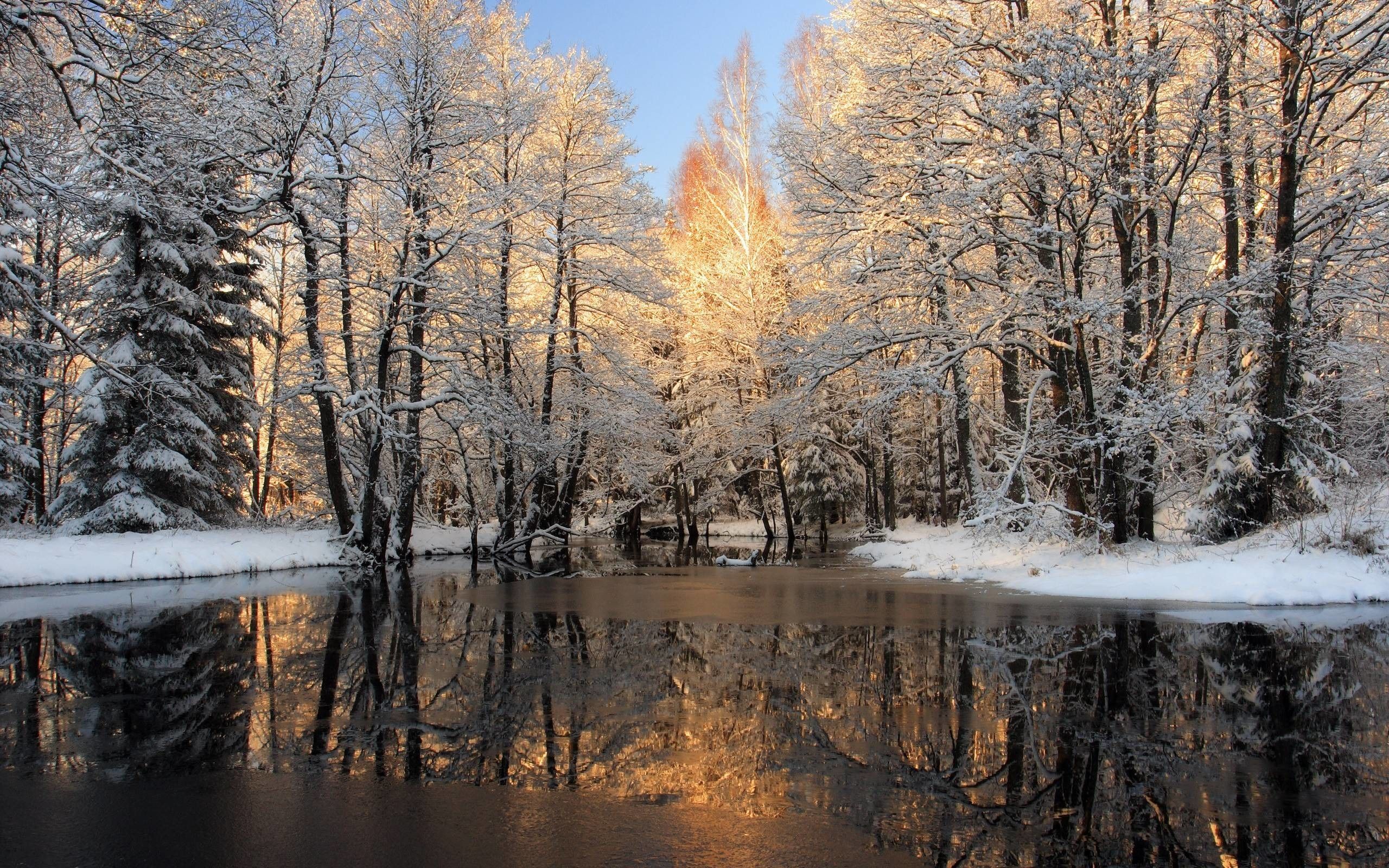 Nature Background Winter