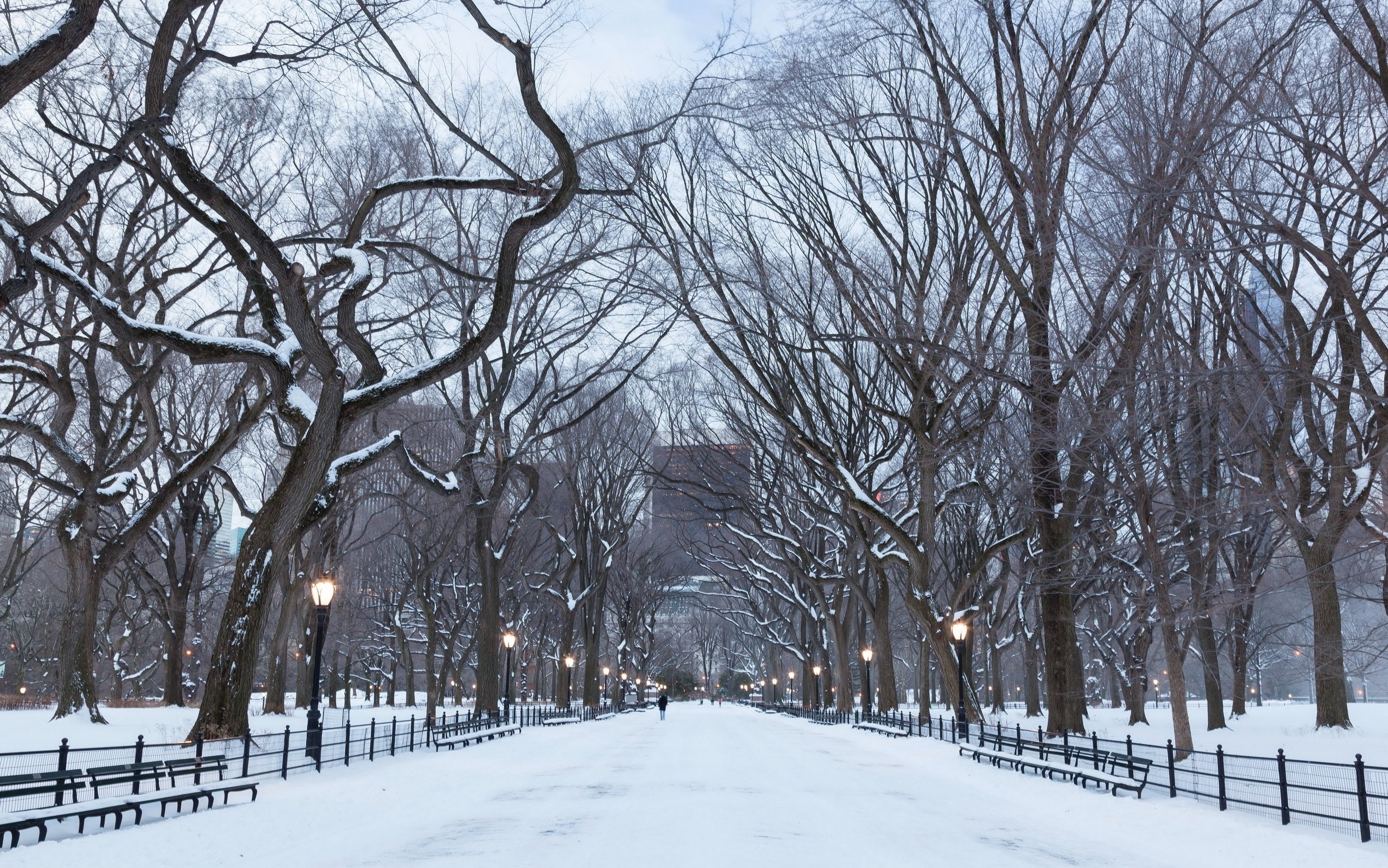 Nature Background Winter