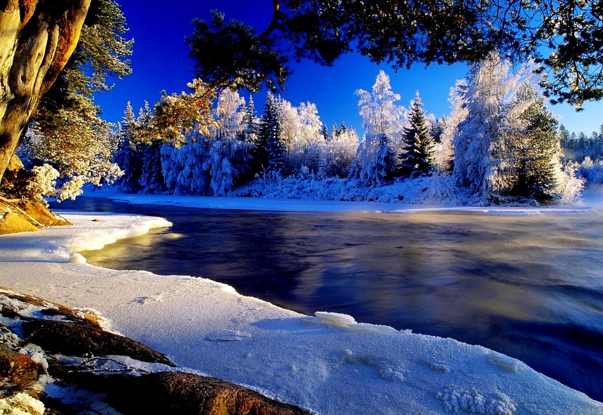 Nature Background Winter