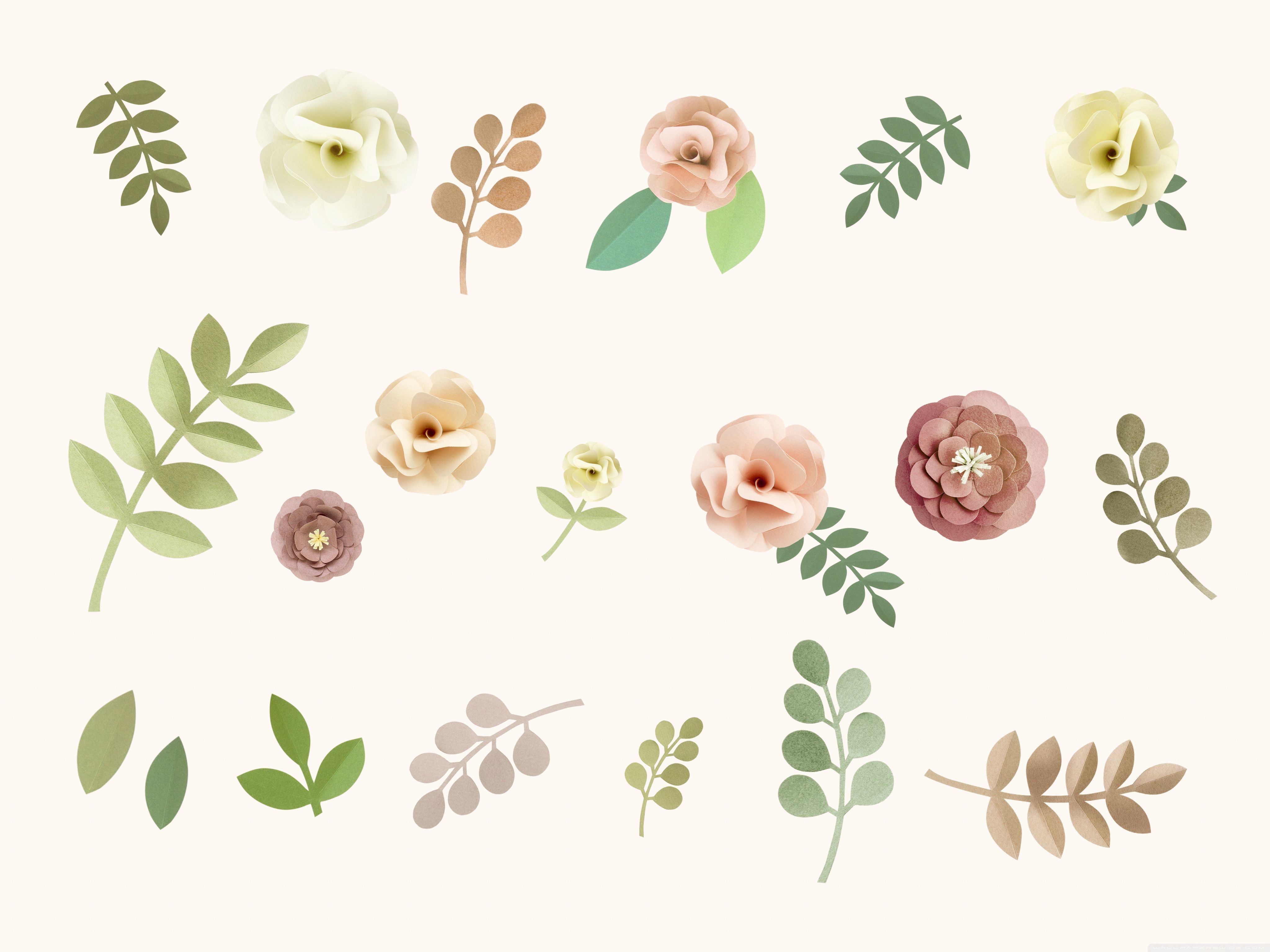 Neutral Flower Background