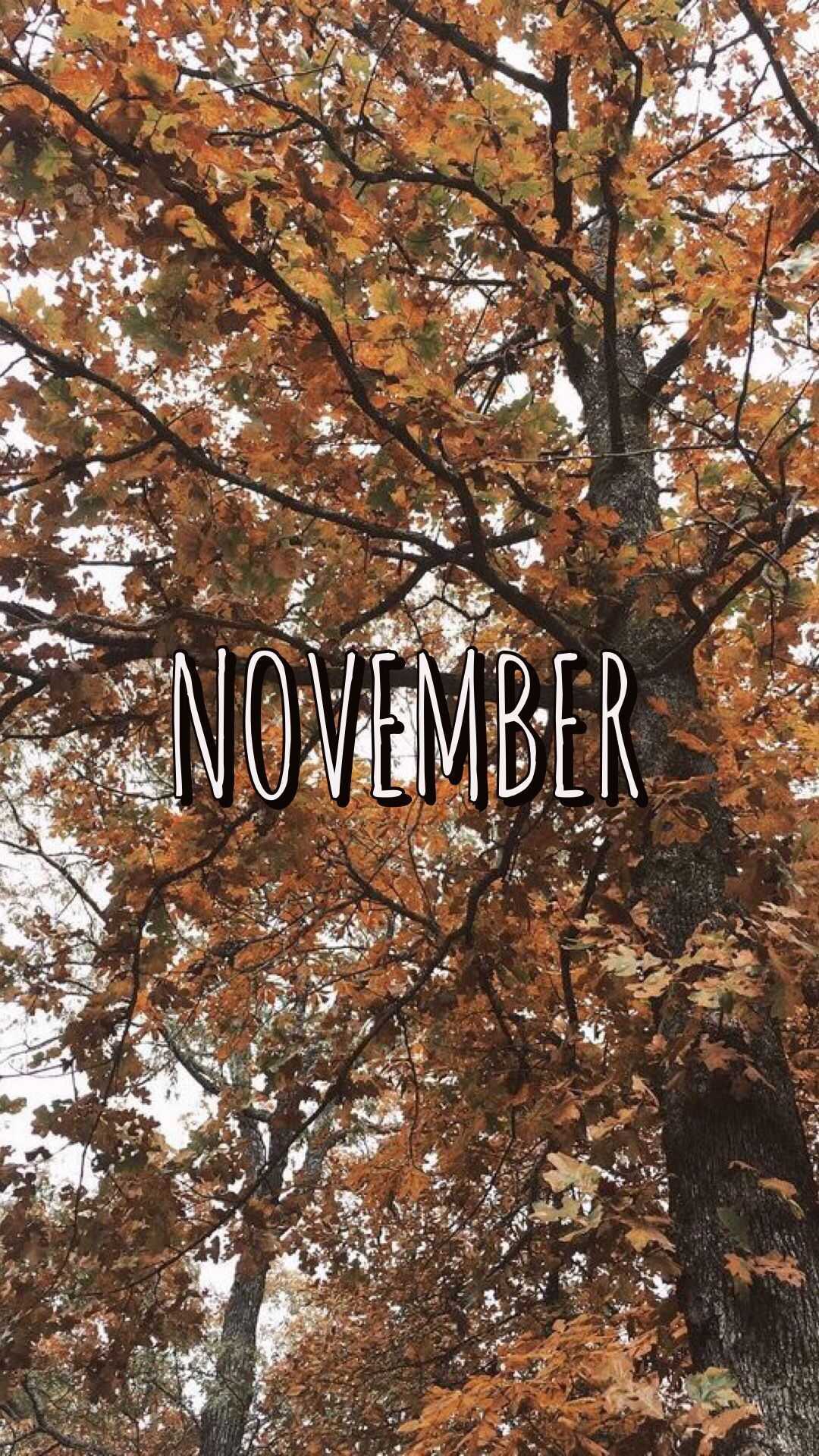 November Background