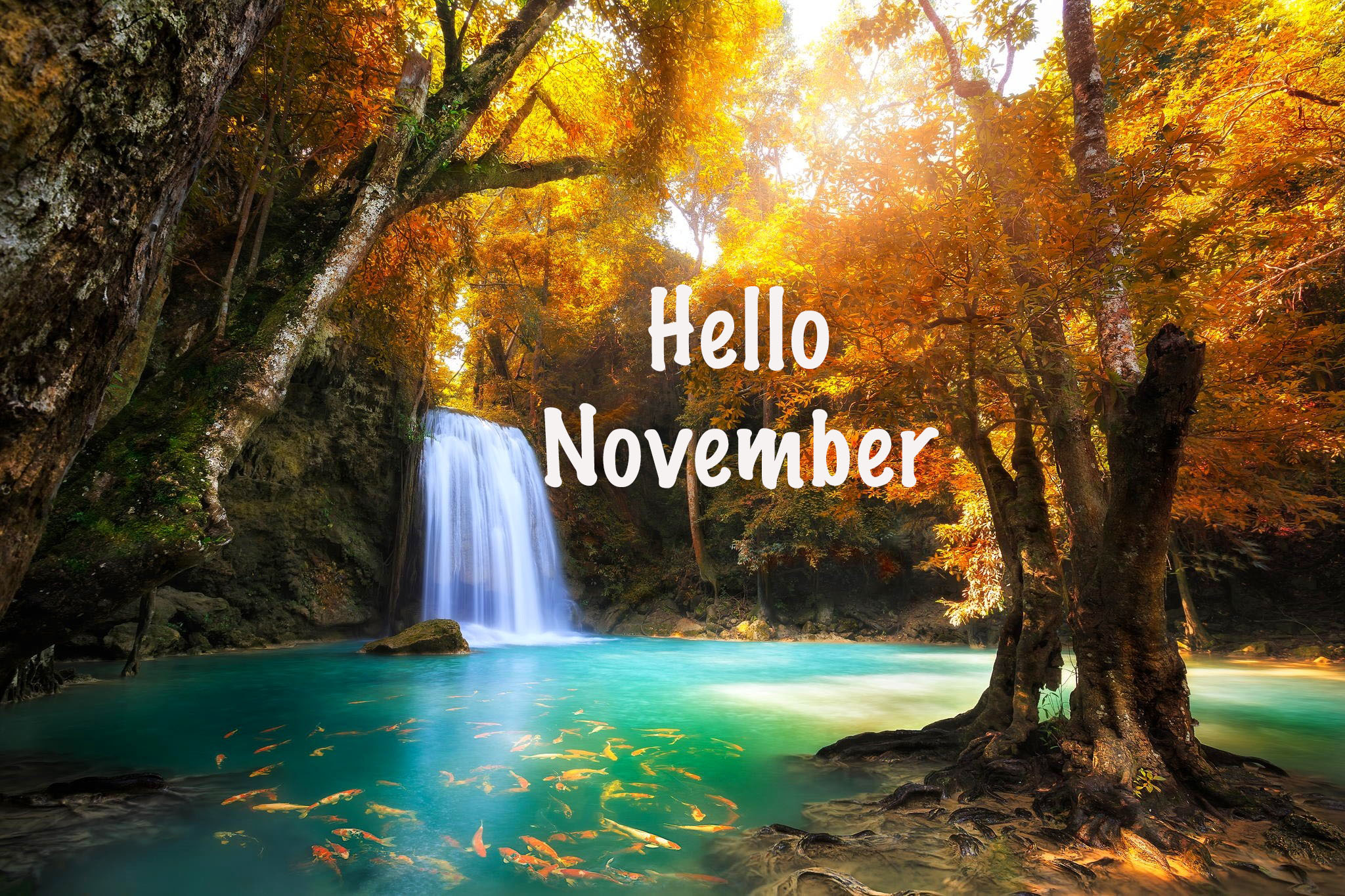 November Background