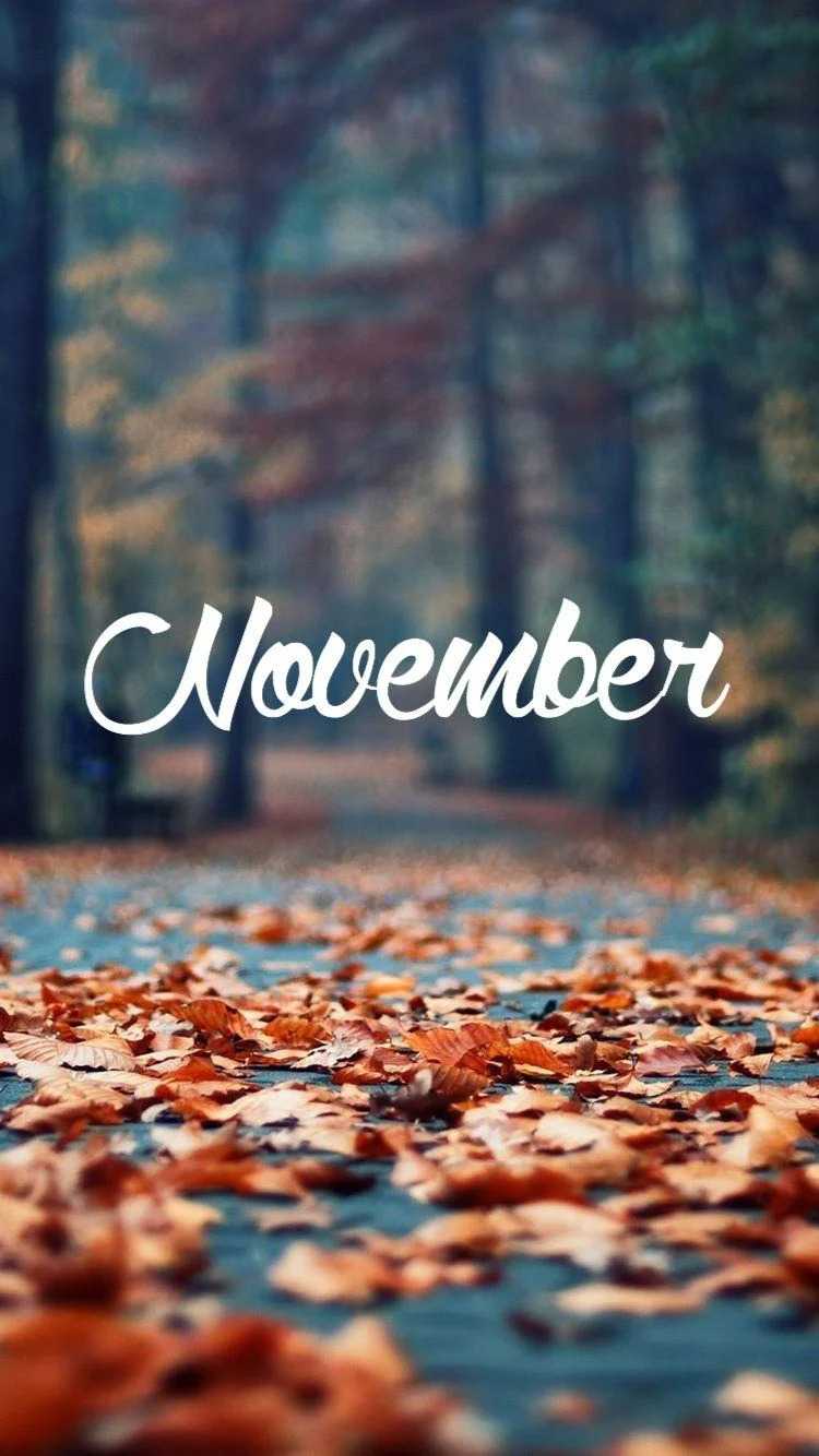 November Background